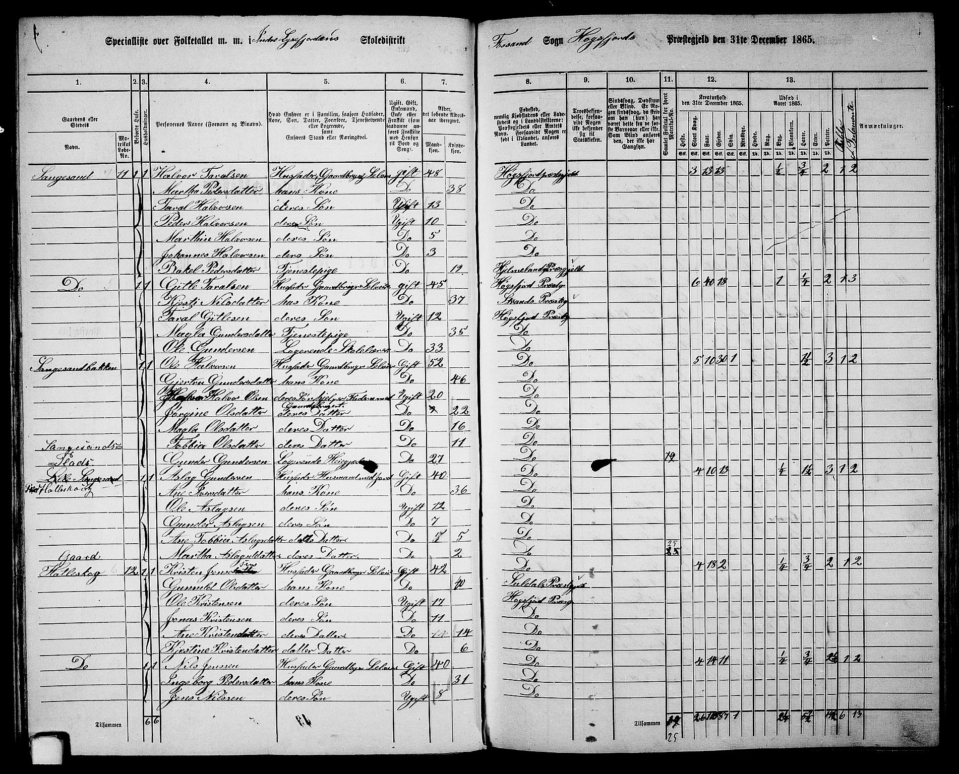 RA, 1865 census for Høgsfjord, 1865, p. 26