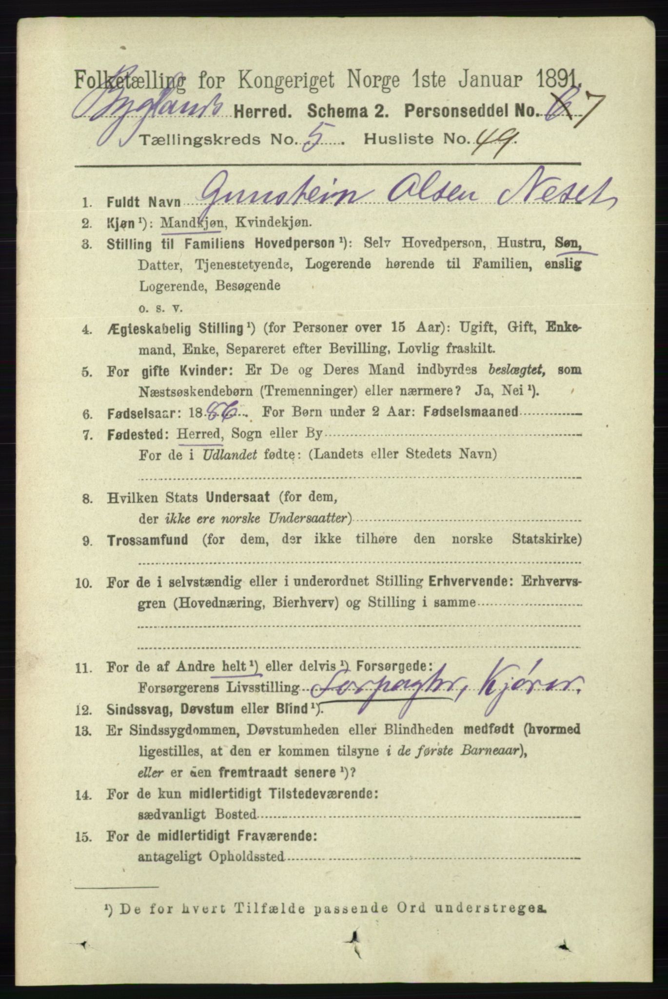 RA, 1891 census for 0938 Bygland, 1891, p. 1303