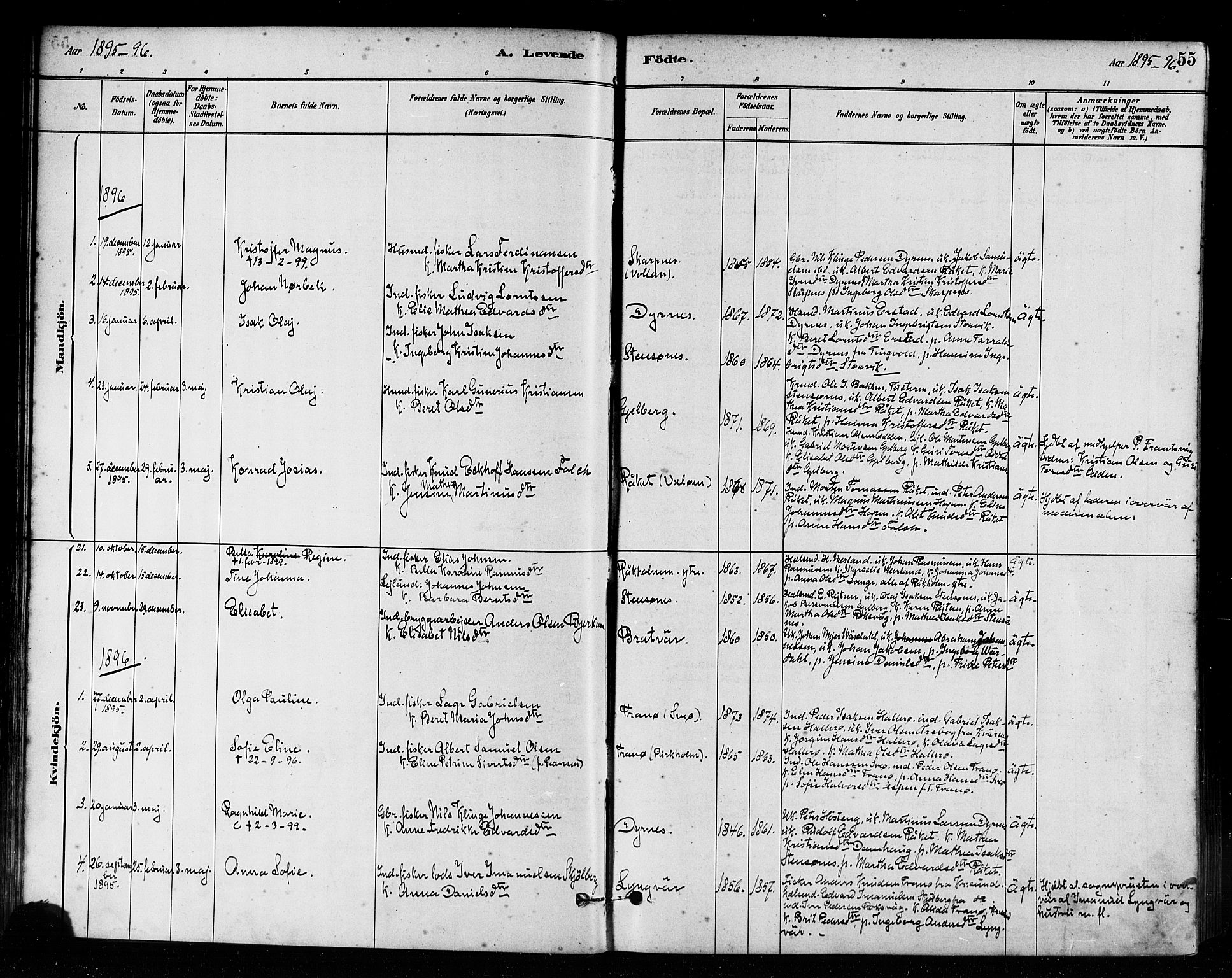 Ministerialprotokoller, klokkerbøker og fødselsregistre - Møre og Romsdal, AV/SAT-A-1454/582/L0947: Parish register (official) no. 582A01, 1880-1900, p. 55