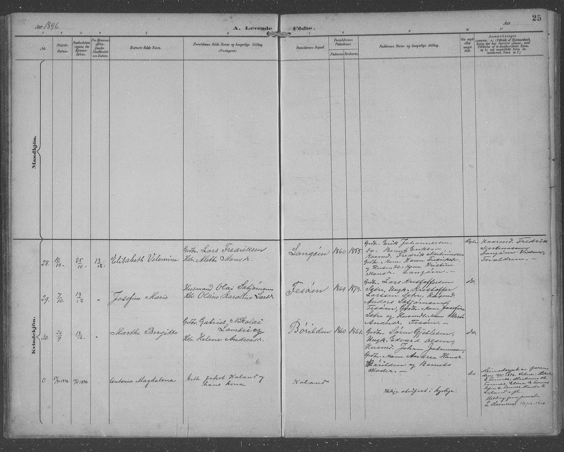 Lindås Sokneprestembete, SAB/A-76701/H/Hab: Parish register (copy) no. C 4, 1894-1910, p. 25