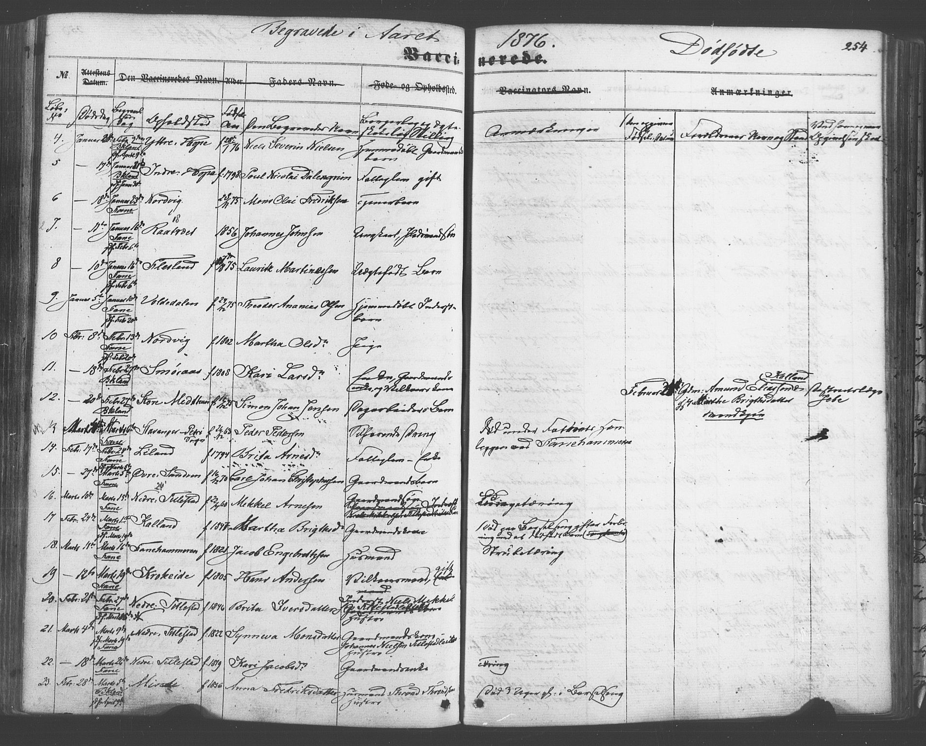 Fana Sokneprestembete, SAB/A-75101/H/Haa/Haaa/L0012: Parish register (official) no. A 12, 1862-1878, p. 254