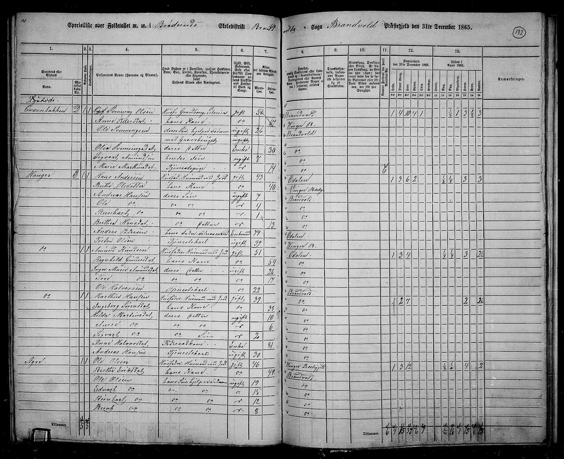 RA, 1865 census for Brandval, 1865, p. 113