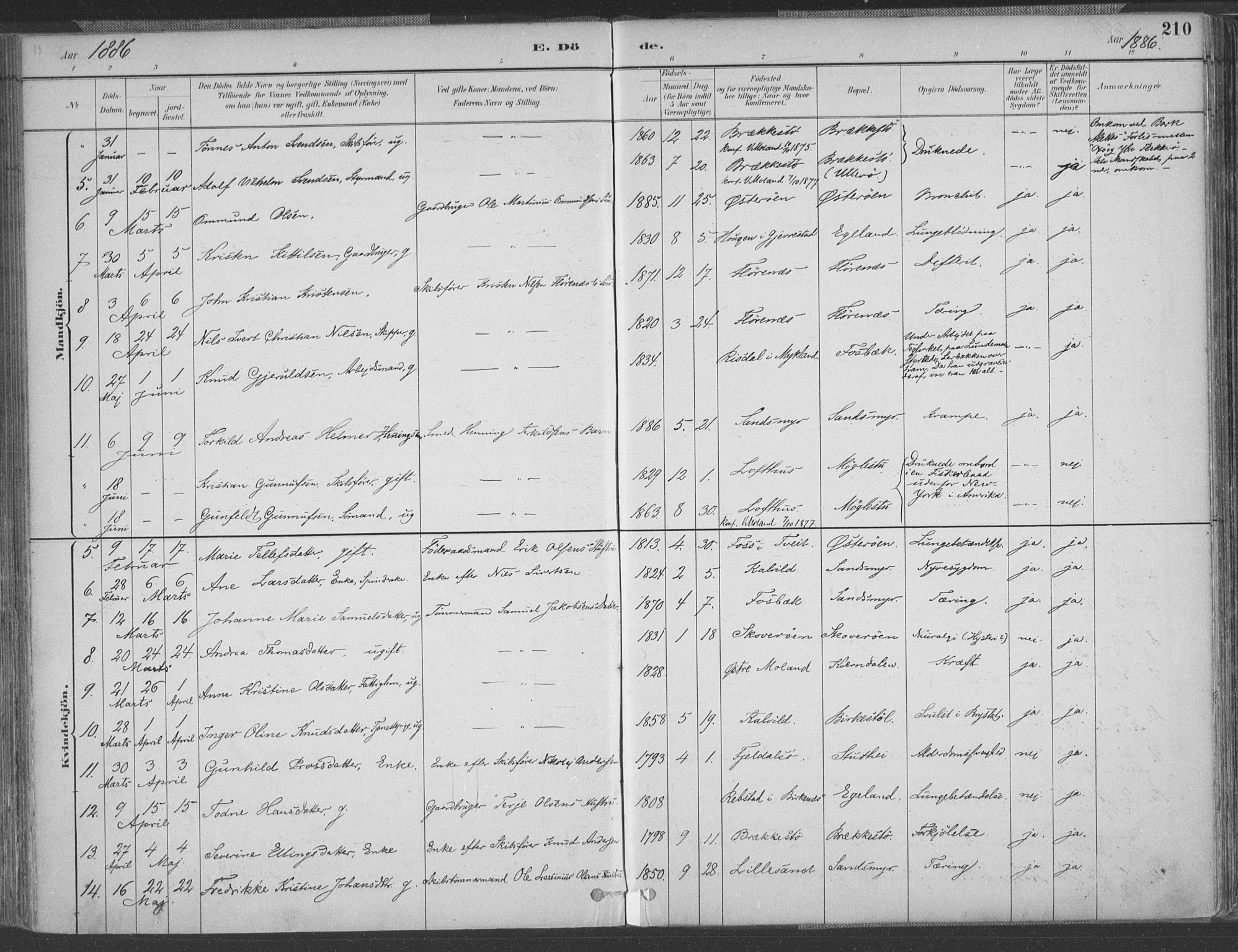 Vestre Moland sokneprestkontor, AV/SAK-1111-0046/F/Fa/Fab/L0009: Parish register (official) no. A 9, 1884-1899, p. 210