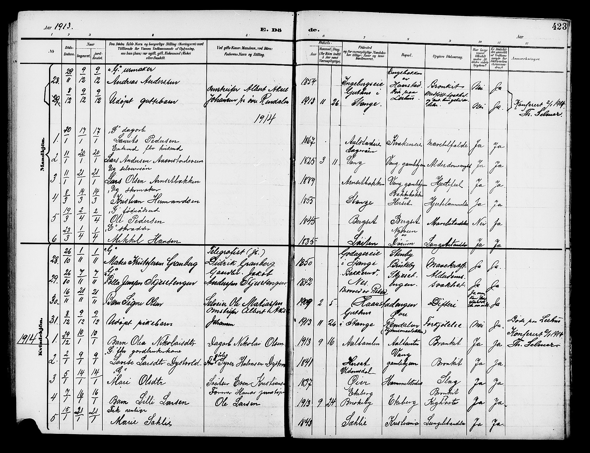 Vang prestekontor, Hedmark, SAH/PREST-008/H/Ha/Hab/L0014: Parish register (copy) no. 14, 1896-1914, p. 423