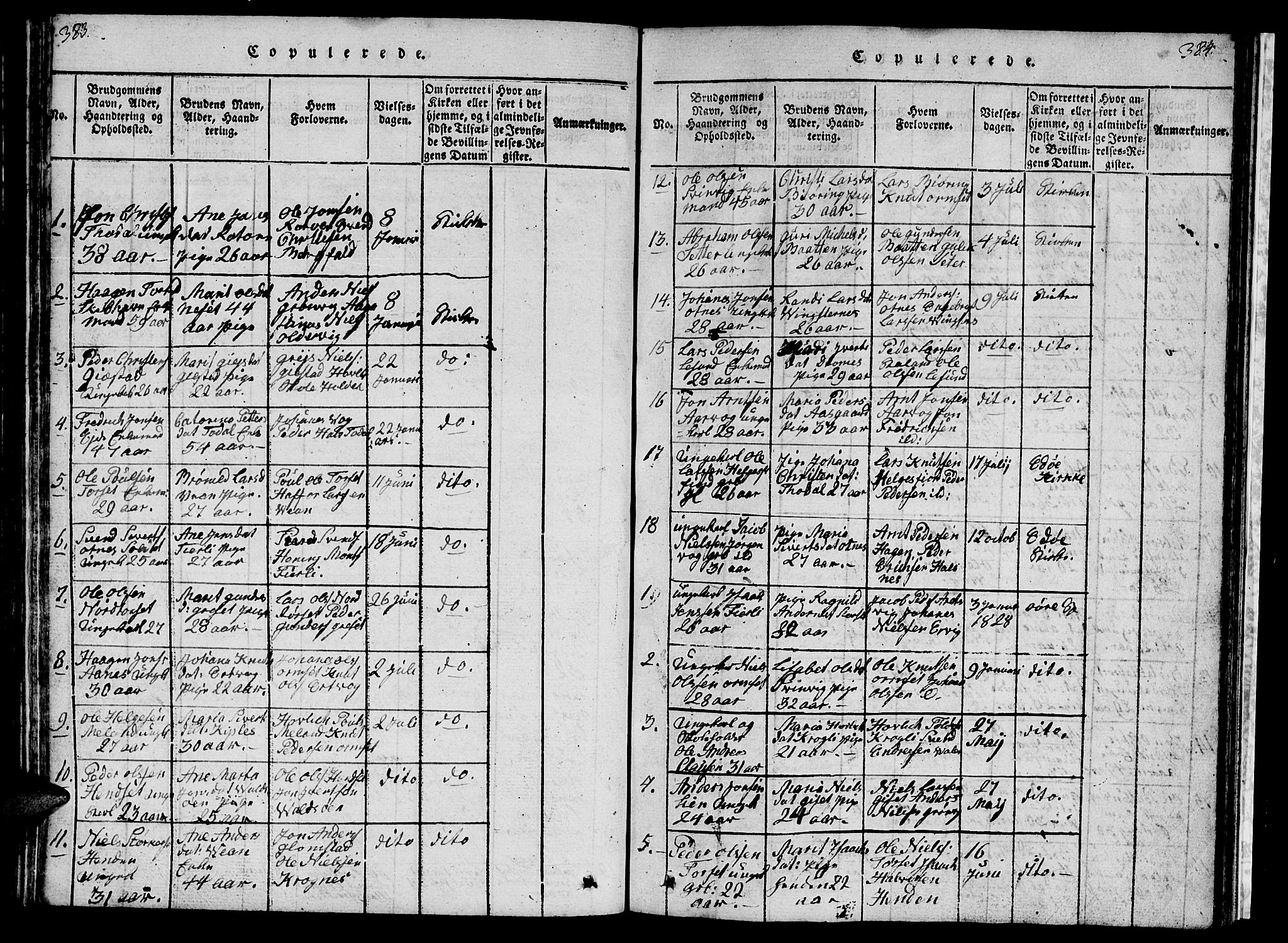 Ministerialprotokoller, klokkerbøker og fødselsregistre - Møre og Romsdal, AV/SAT-A-1454/578/L0908: Parish register (copy) no. 578C01, 1819-1837, p. 383-384