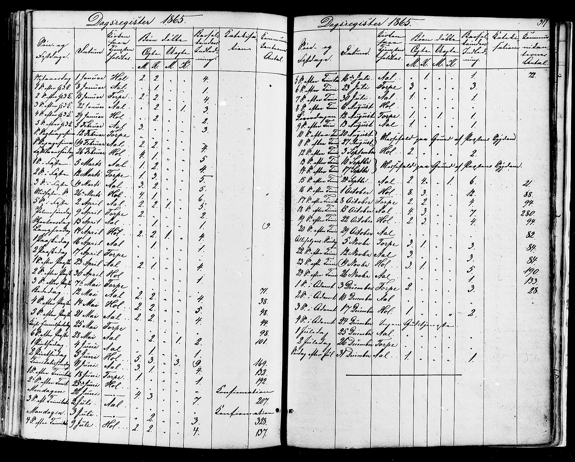 Ål kirkebøker, SAKO/A-249/F/Fa/L0007: Parish register (official) no. I 7, 1865-1881, p. 317