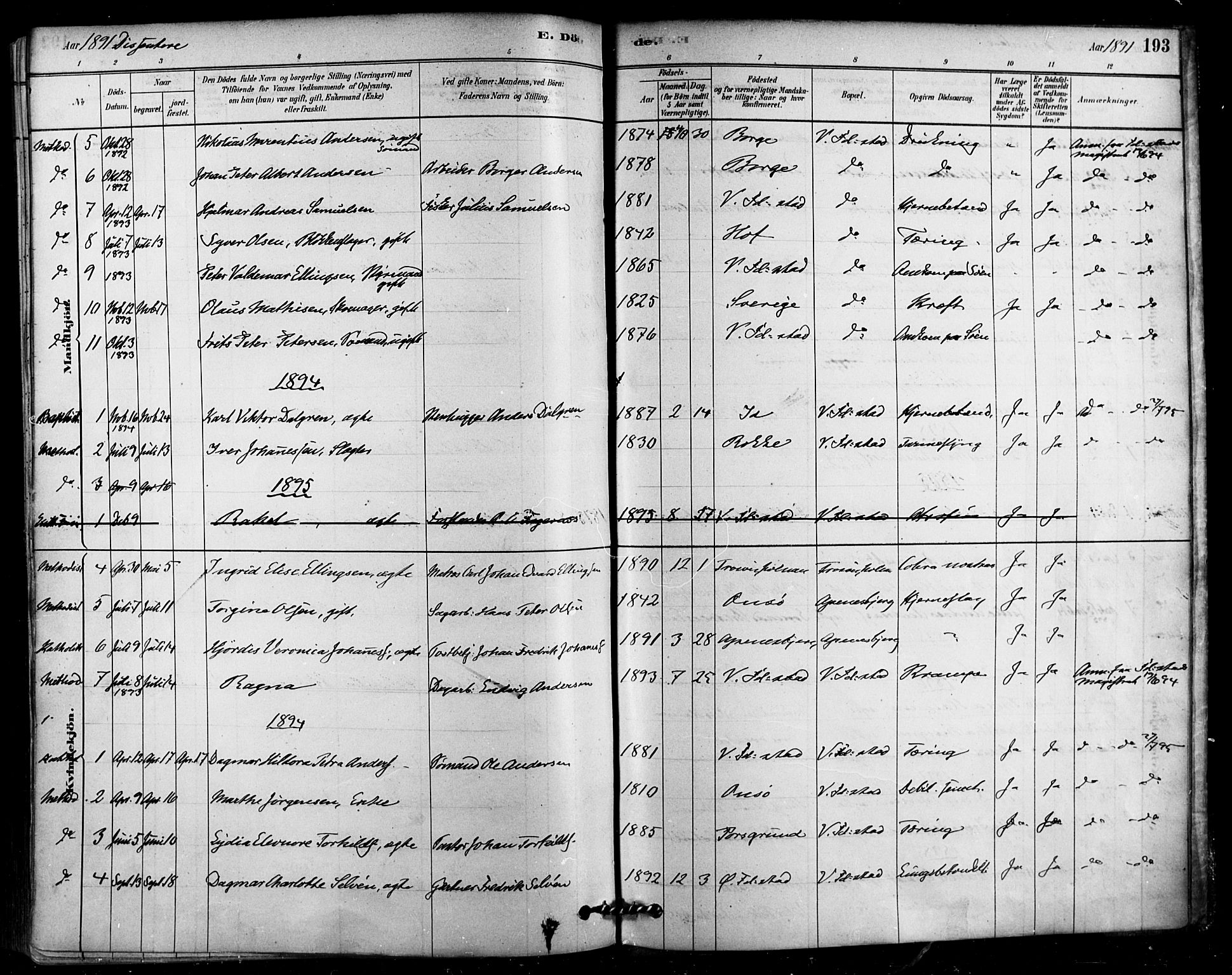 Fredrikstad domkirkes prestekontor Kirkebøker, SAO/A-10906/F/Fa/L0003: Parish register (official) no. 3, 1878-1904, p. 193