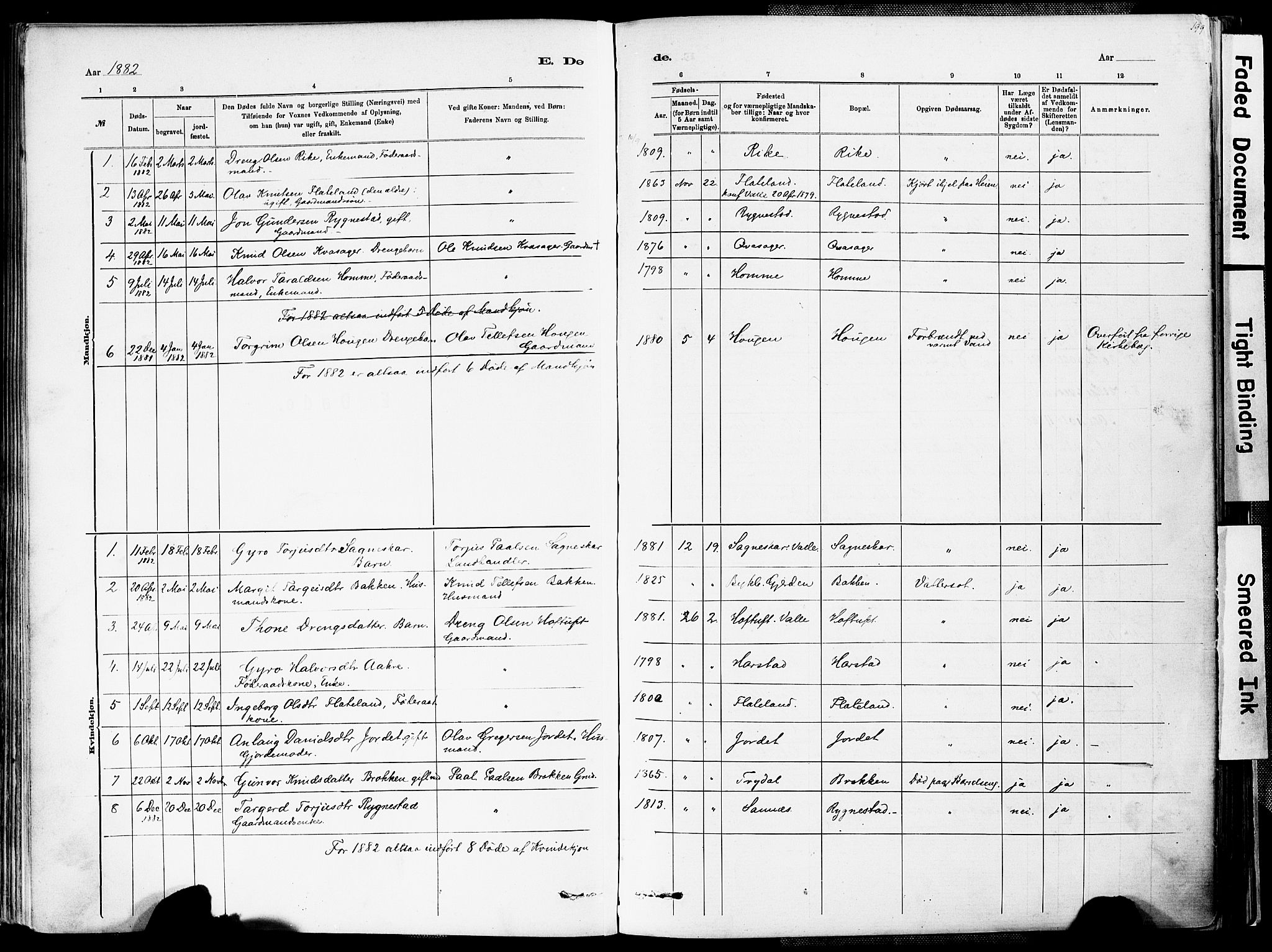 Valle sokneprestkontor, SAK/1111-0044/F/Fa/Fac/L0009: Parish register (official) no. A 9, 1882-1913, p. 199