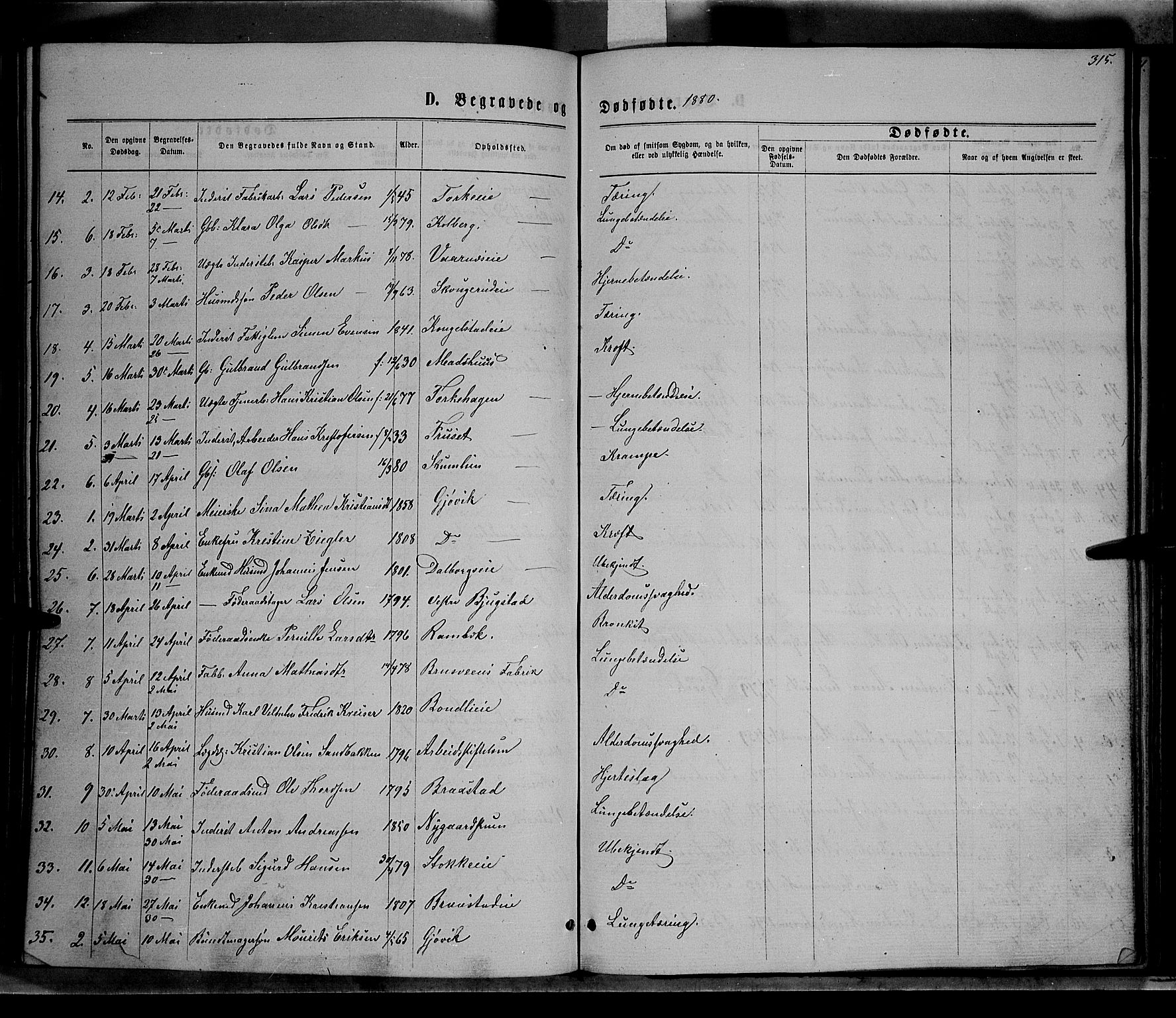 Vardal prestekontor, SAH/PREST-100/H/Ha/Hab/L0006: Parish register (copy) no. 6, 1869-1881, p. 315