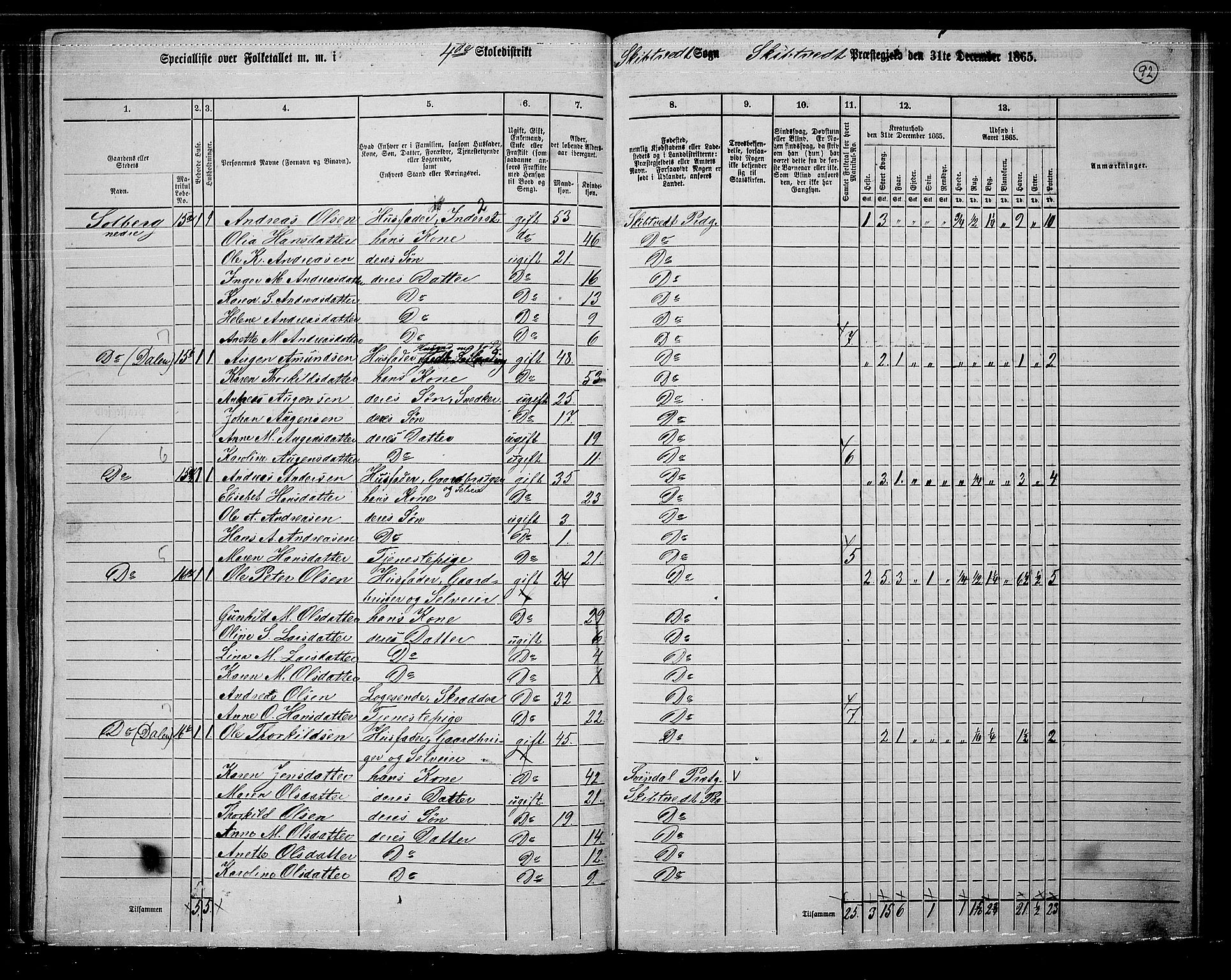 RA, 1865 census for Skiptvet, 1865, p. 82