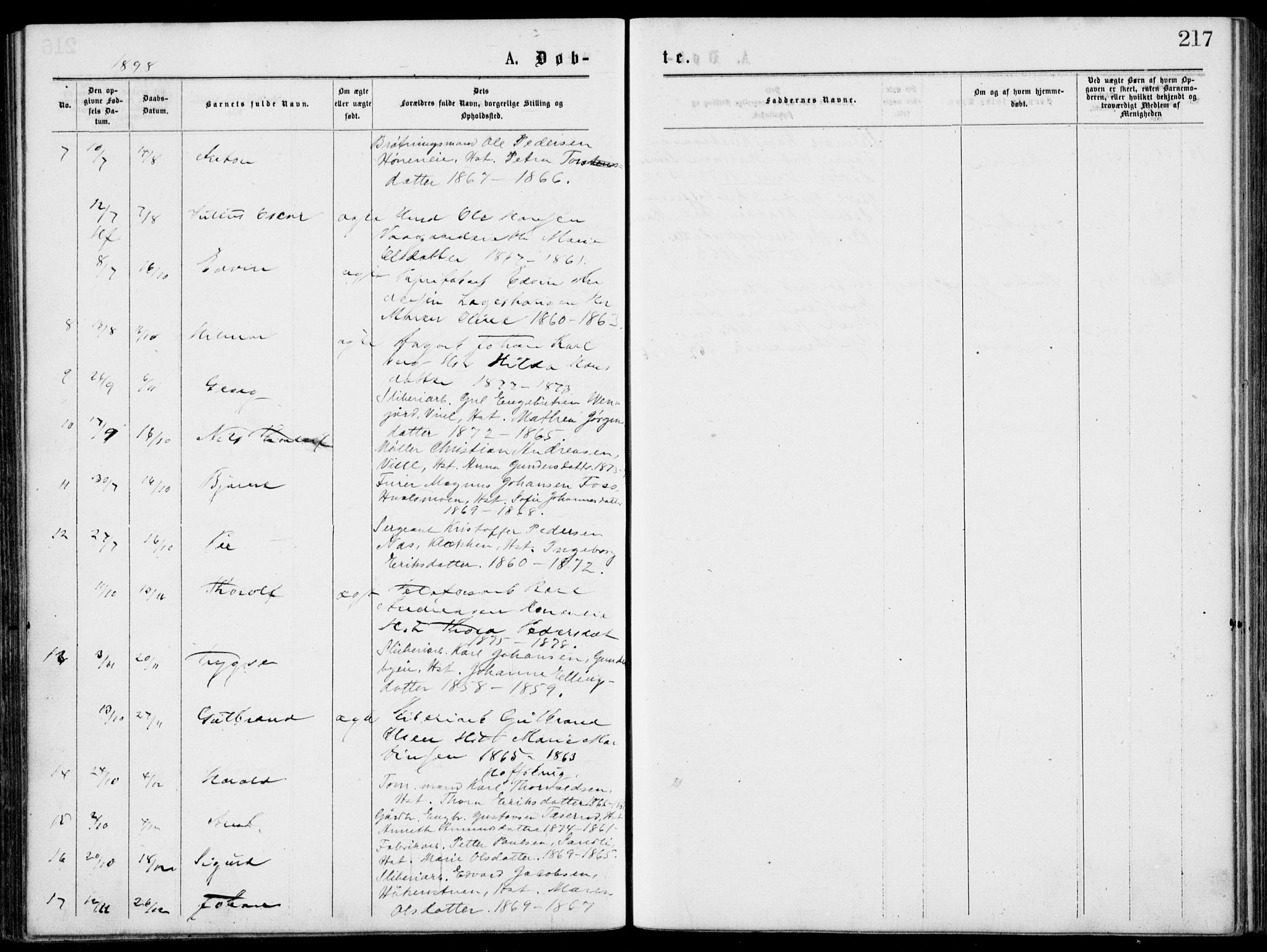 Norderhov kirkebøker, SAKO/A-237/G/Gb/L0001: Parish register (copy) no. II 1, 1876-1899, p. 217