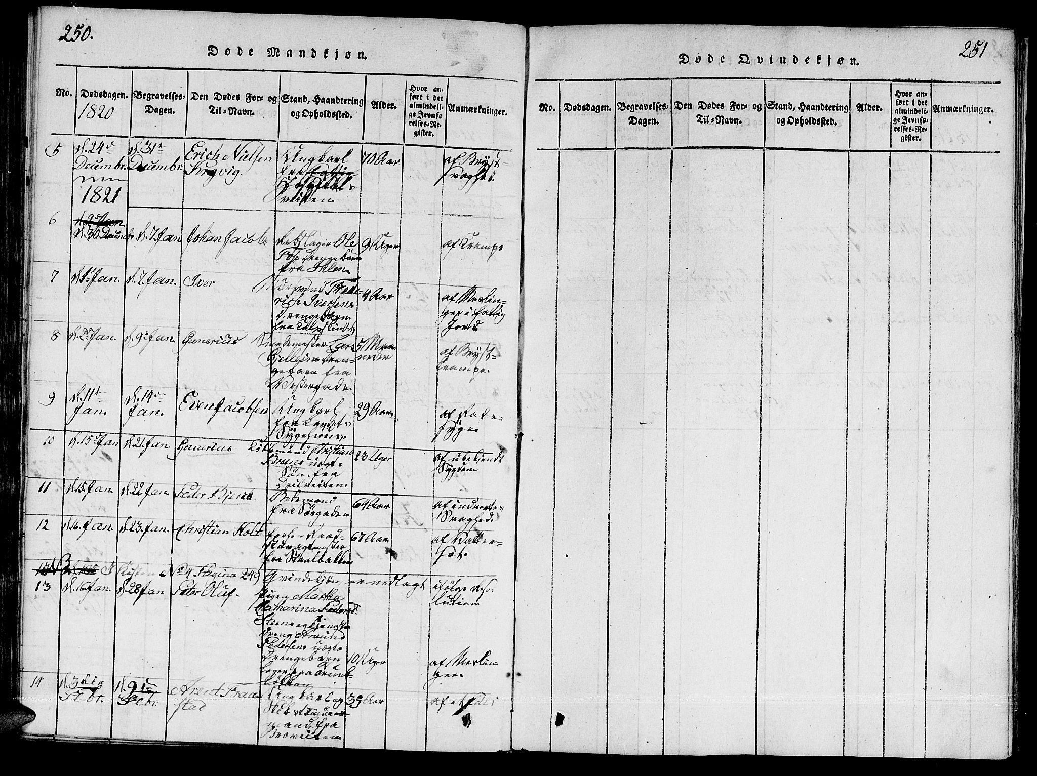 Ministerialprotokoller, klokkerbøker og fødselsregistre - Sør-Trøndelag, SAT/A-1456/601/L0043: Parish register (official) no. 601A11, 1815-1821, p. 250-251