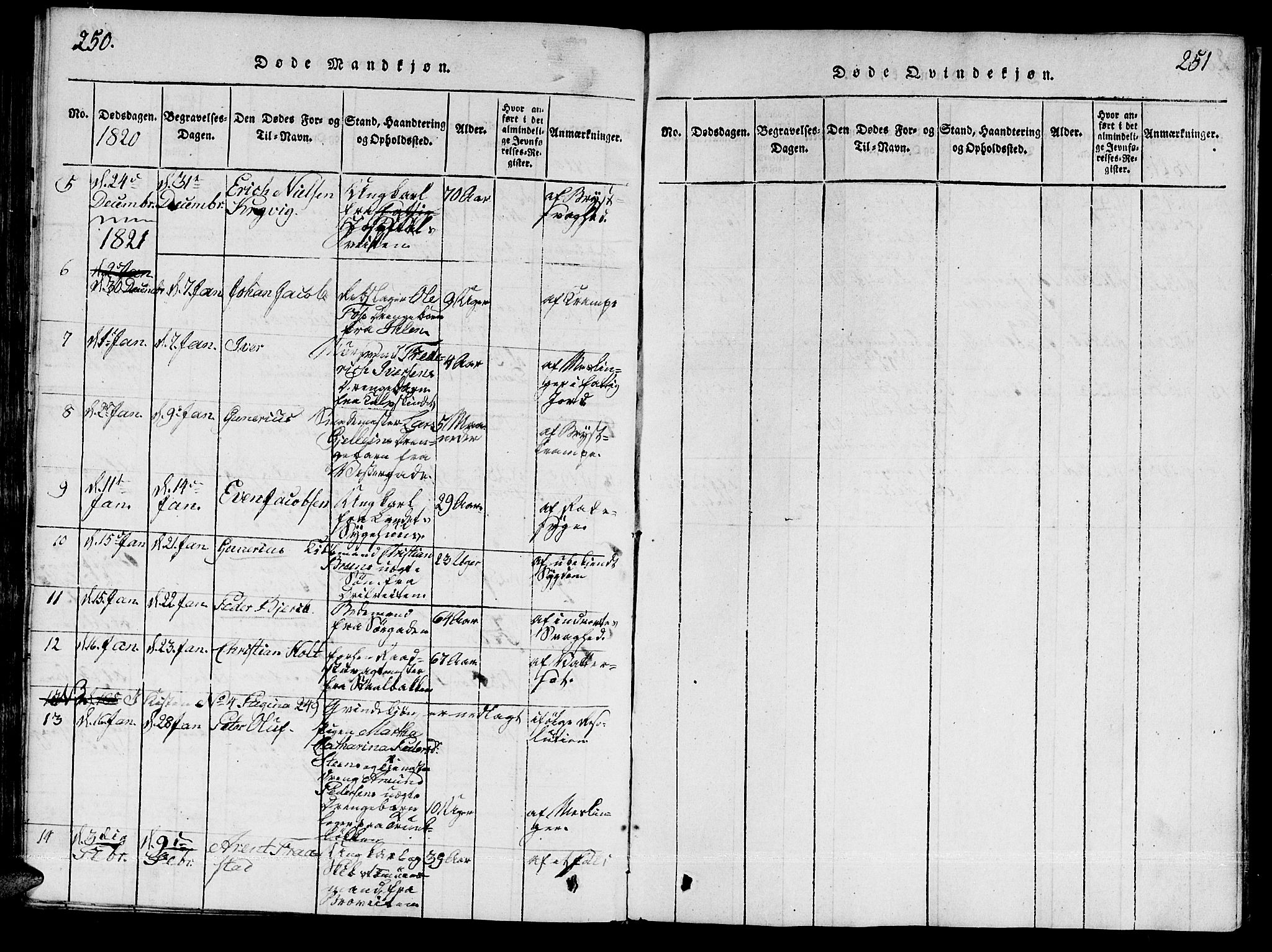 Ministerialprotokoller, klokkerbøker og fødselsregistre - Sør-Trøndelag, AV/SAT-A-1456/601/L0043: Parish register (official) no. 601A11, 1815-1821, p. 250-251