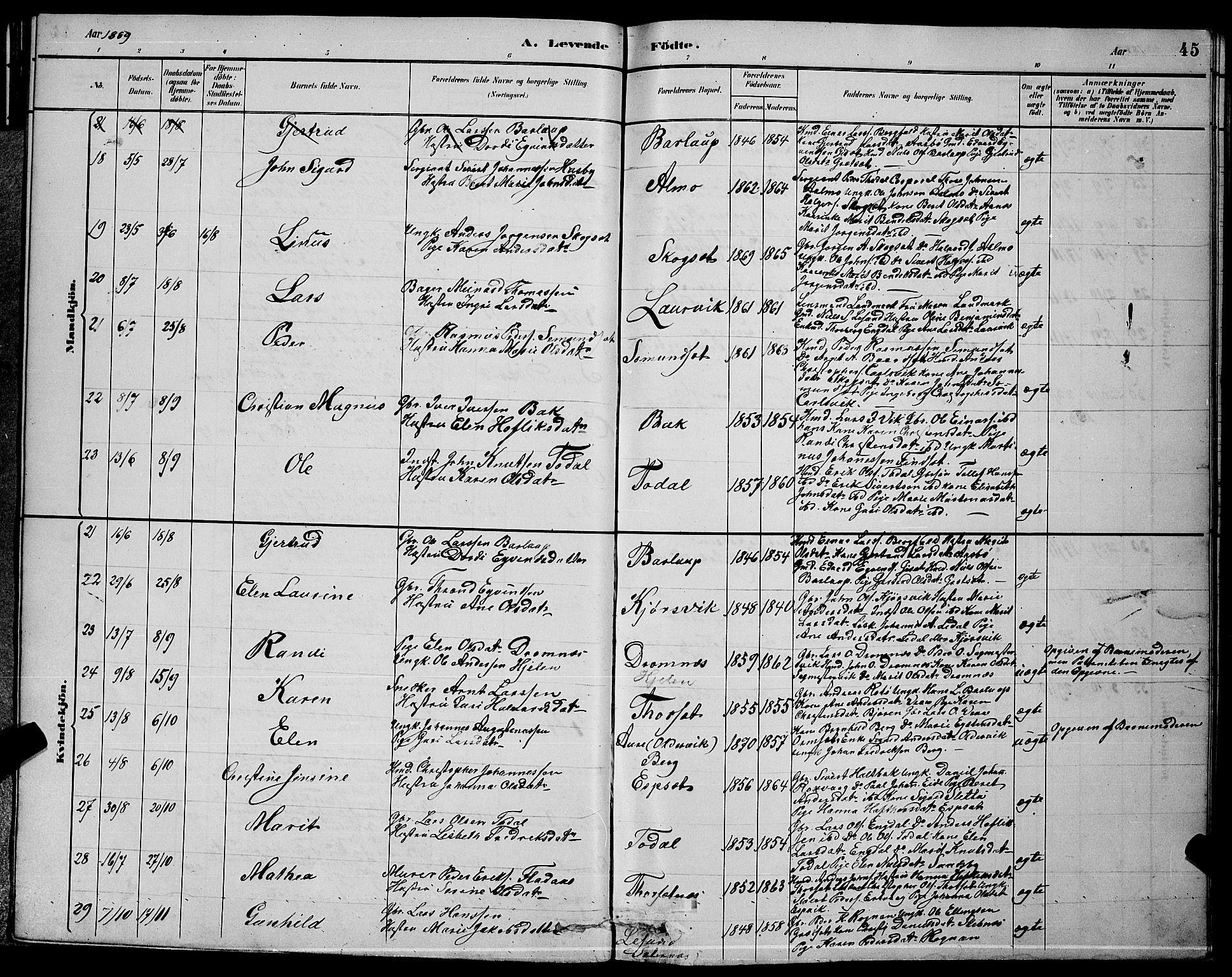 Ministerialprotokoller, klokkerbøker og fødselsregistre - Møre og Romsdal, AV/SAT-A-1454/578/L0909: Parish register (copy) no. 578C02, 1882-1900, p. 45