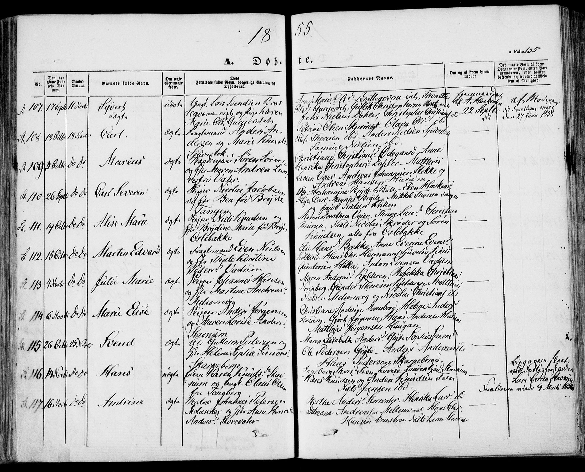 Stokke kirkebøker, SAKO/A-320/F/Fa/L0007: Parish register (official) no. I 7, 1844-1857, p. 135