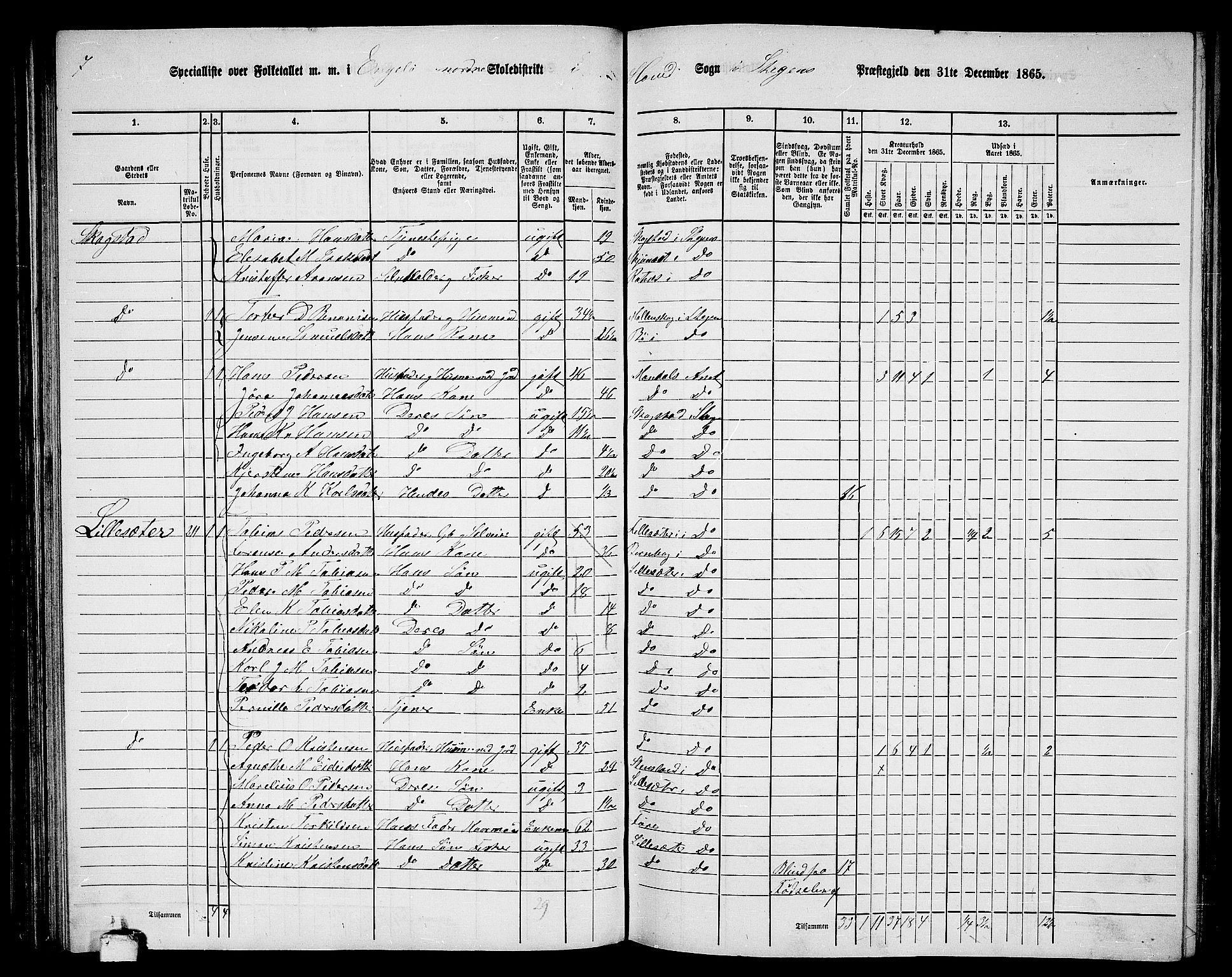 RA, 1865 census for Steigen, 1865, p. 78