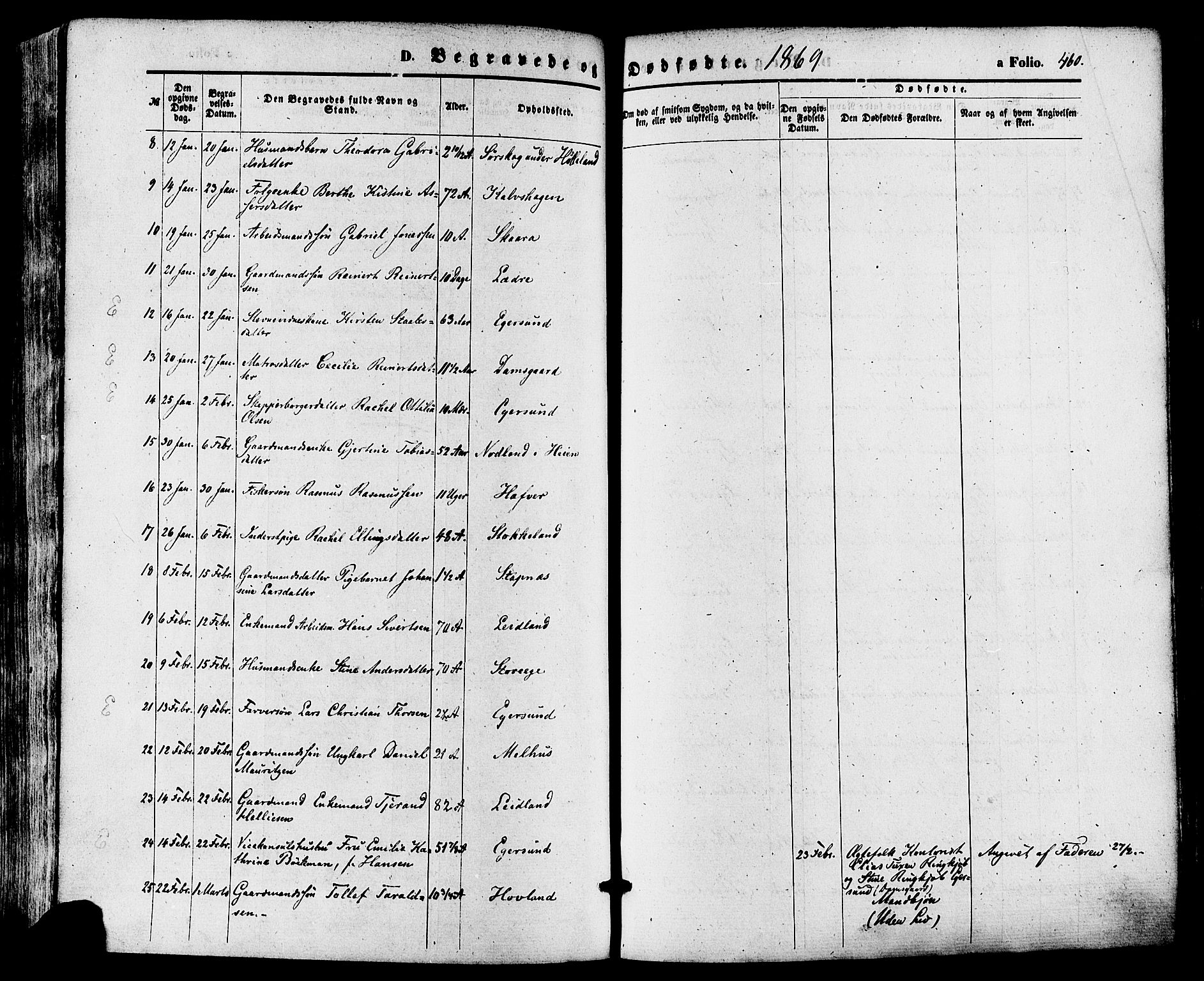 Eigersund sokneprestkontor, AV/SAST-A-101807/S08/L0014: Parish register (official) no. A 13, 1866-1878, p. 460