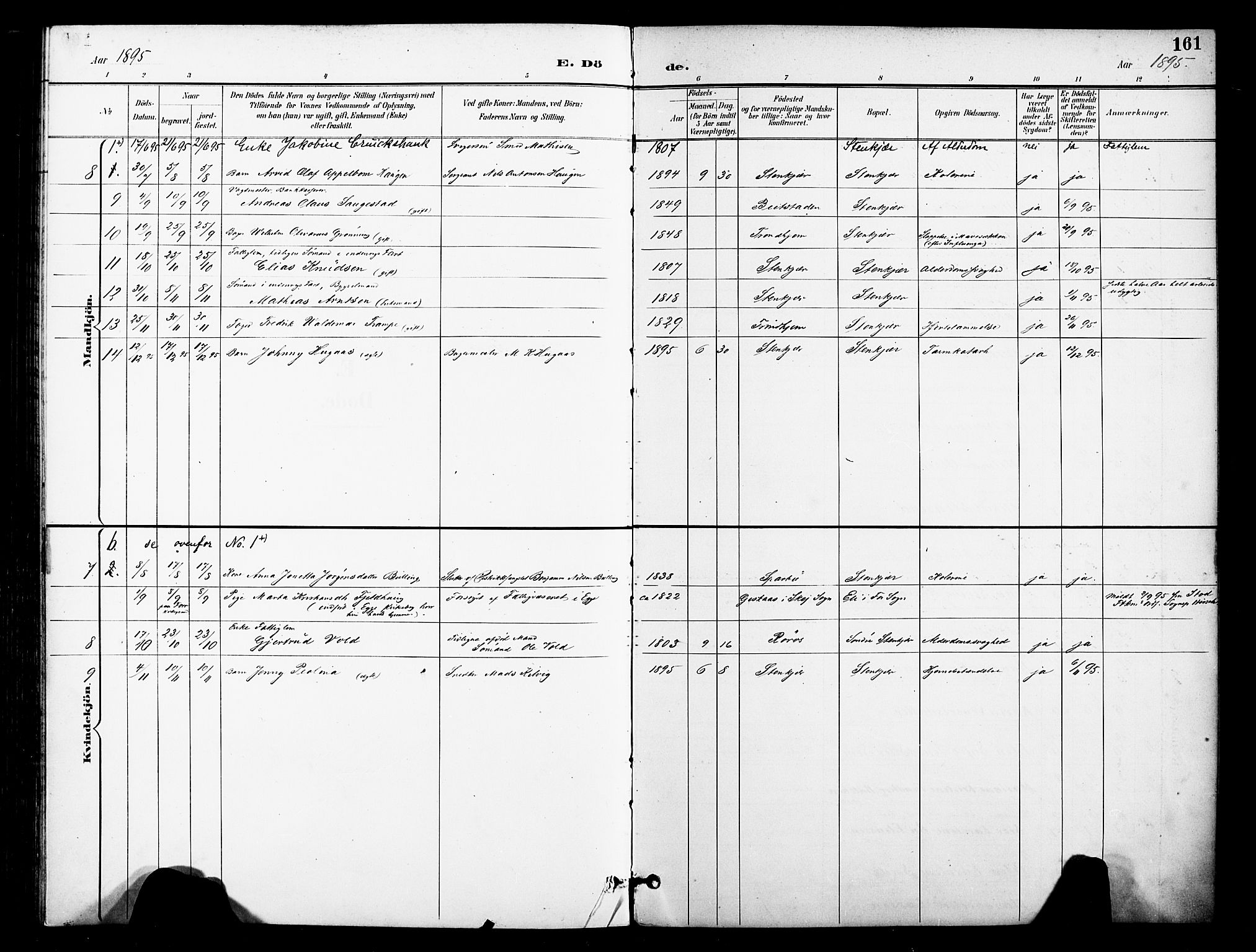 Ministerialprotokoller, klokkerbøker og fødselsregistre - Nord-Trøndelag, AV/SAT-A-1458/739/L0372: Parish register (official) no. 739A04, 1895-1903, p. 161