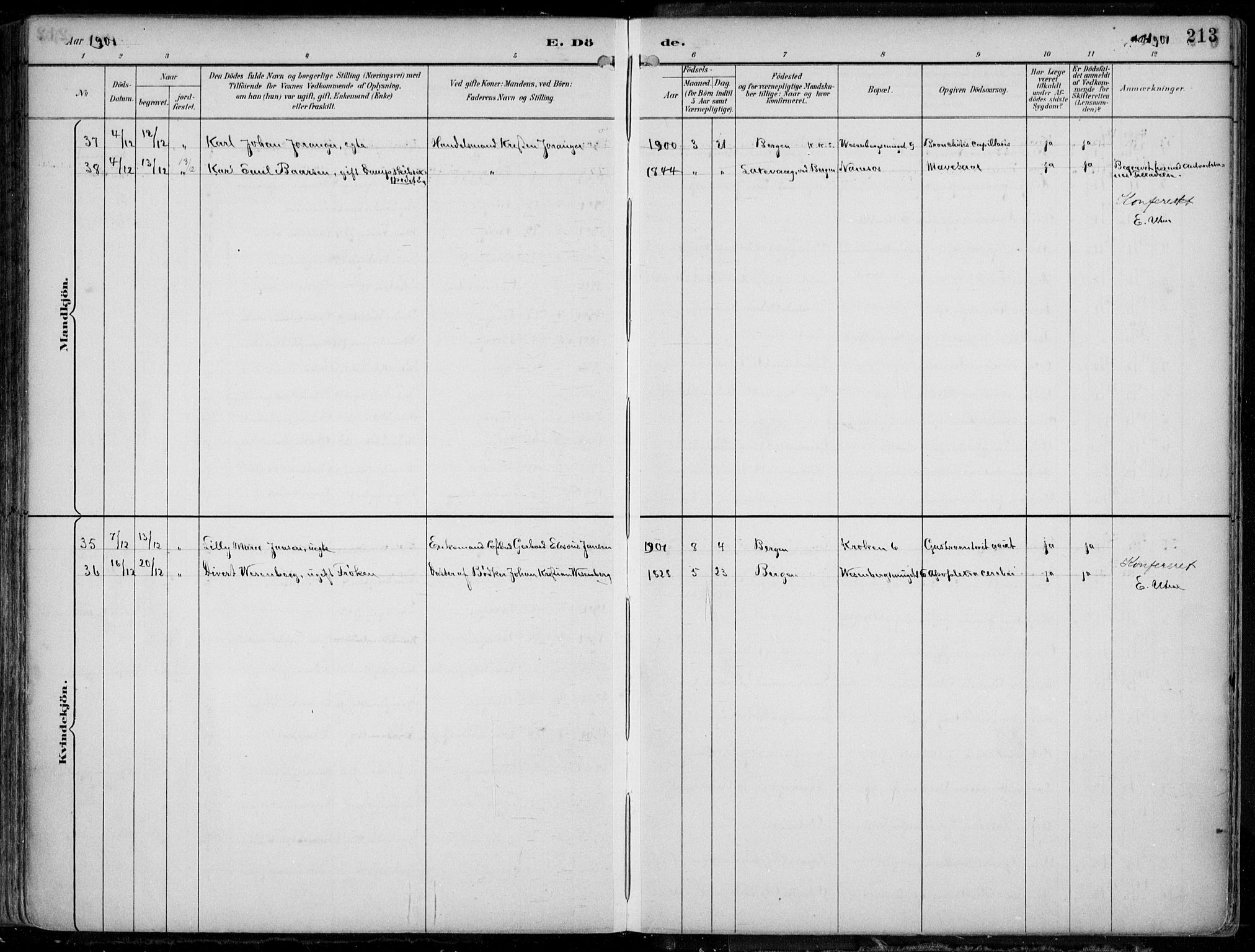 Mariakirken Sokneprestembete, AV/SAB-A-76901/H/Hab/L0005: Parish register (copy) no. A 5, 1893-1913, p. 213