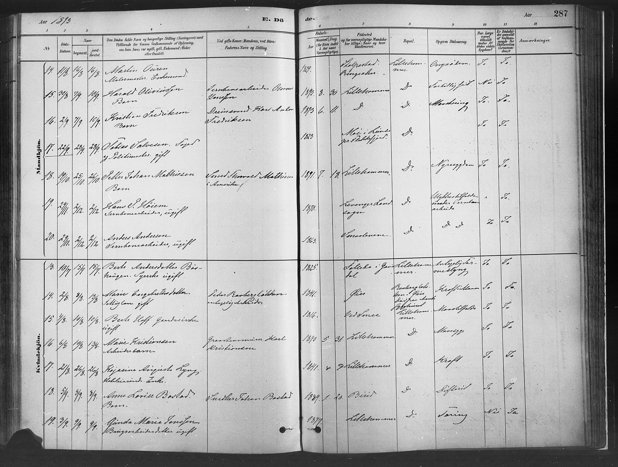 Fåberg prestekontor, SAH/PREST-086/H/Ha/Haa/L0010: Parish register (official) no. 10, 1879-1900, p. 287