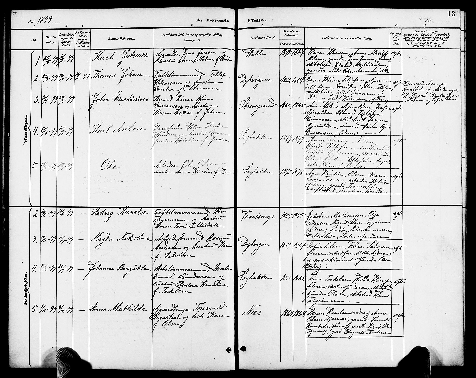 Austre Moland sokneprestkontor, AV/SAK-1111-0001/F/Fb/Fbb/L0002: Parish register (copy) no. B 2, 1894-1918, p. 13