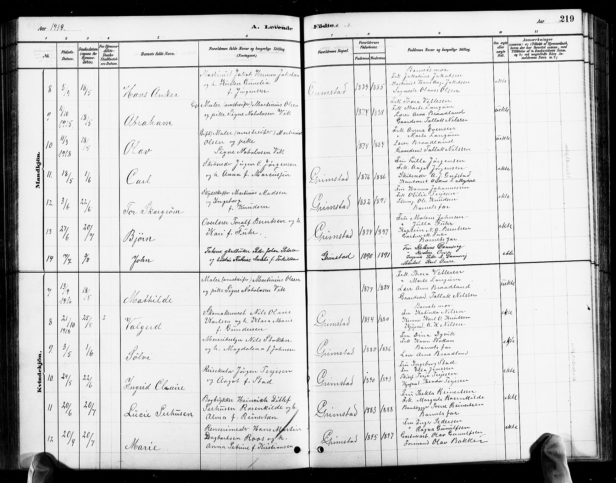 Grimstad sokneprestkontor, AV/SAK-1111-0017/F/Fb/L0001: Parish register (copy) no. B 1, 1881-1922, p. 219