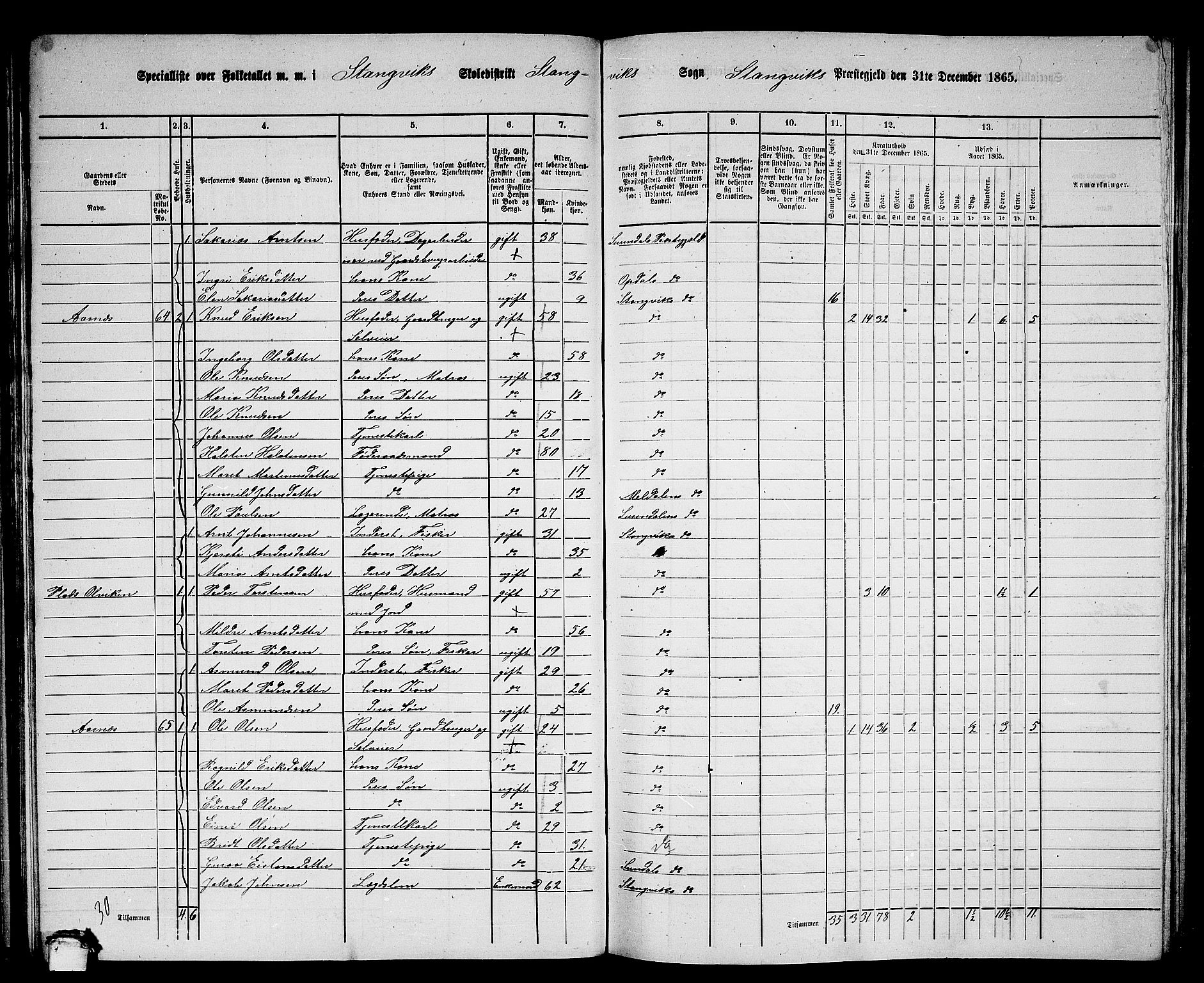 RA, 1865 census for Stangvik, 1865, p. 51