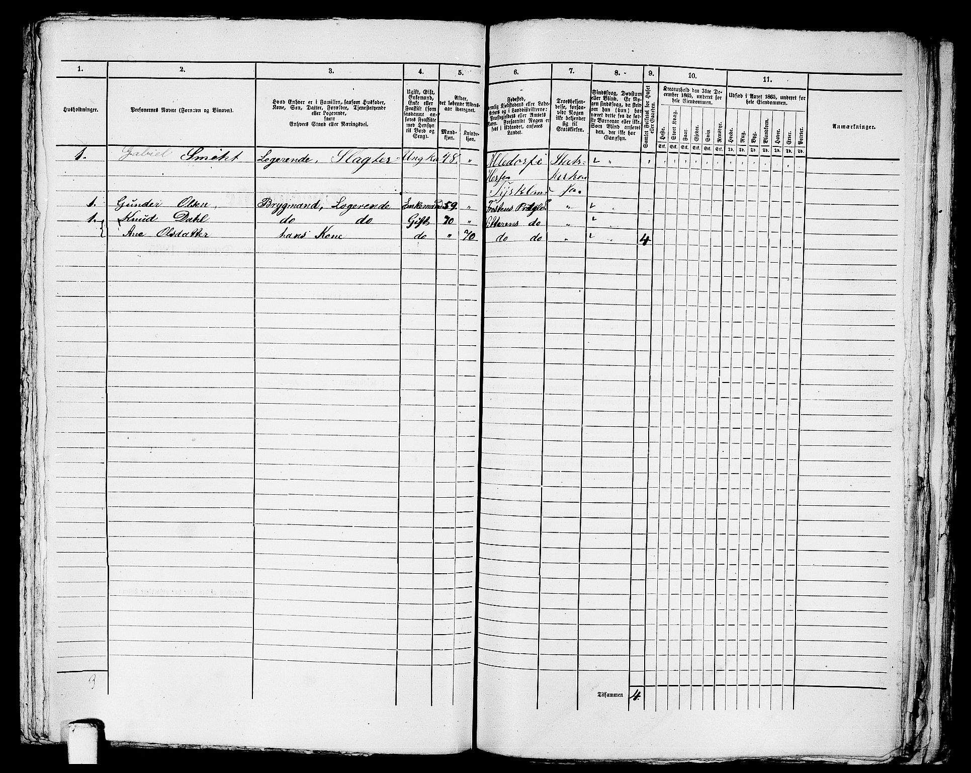 RA, 1865 census for Trondheim, 1865, p. 2533