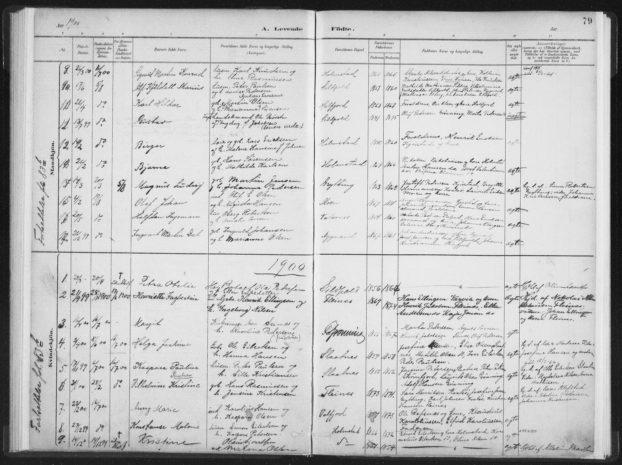 Ministerialprotokoller, klokkerbøker og fødselsregistre - Nordland, SAT/A-1459/890/L1286: Parish register (official) no. 890A01, 1882-1902, p. 79