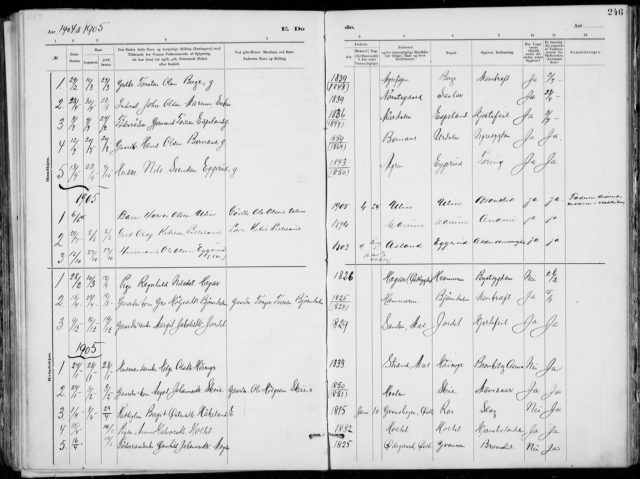 Tinn kirkebøker, AV/SAKO-A-308/F/Fa/L0007: Parish register (official) no. I 7, 1878-1922, p. 246