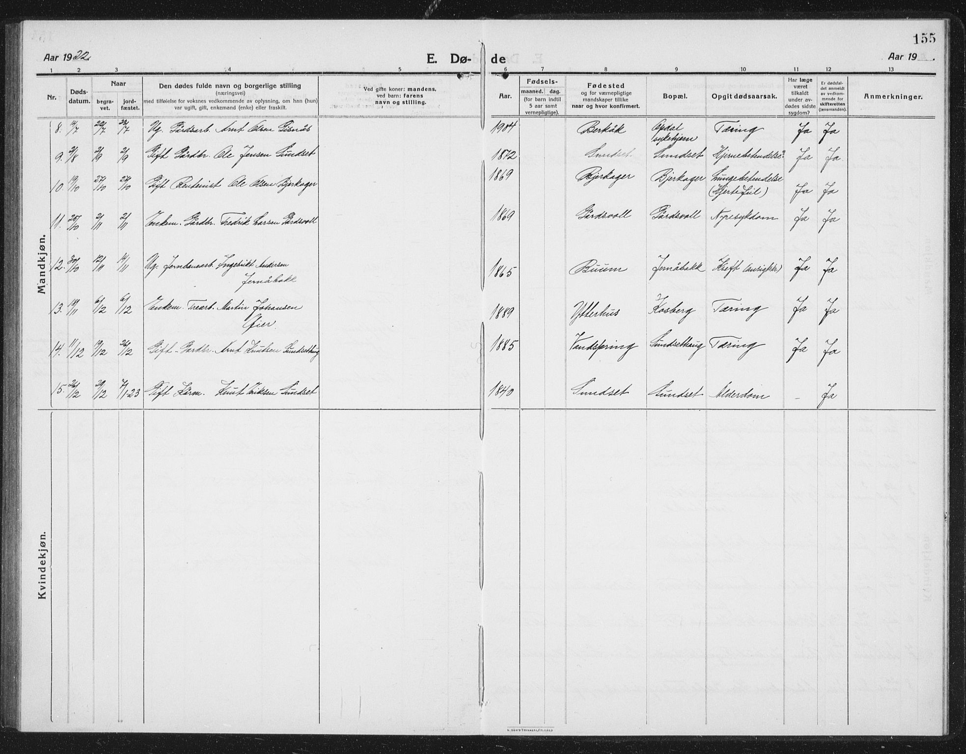 Ministerialprotokoller, klokkerbøker og fødselsregistre - Sør-Trøndelag, SAT/A-1456/675/L0888: Parish register (copy) no. 675C01, 1913-1935, p. 155