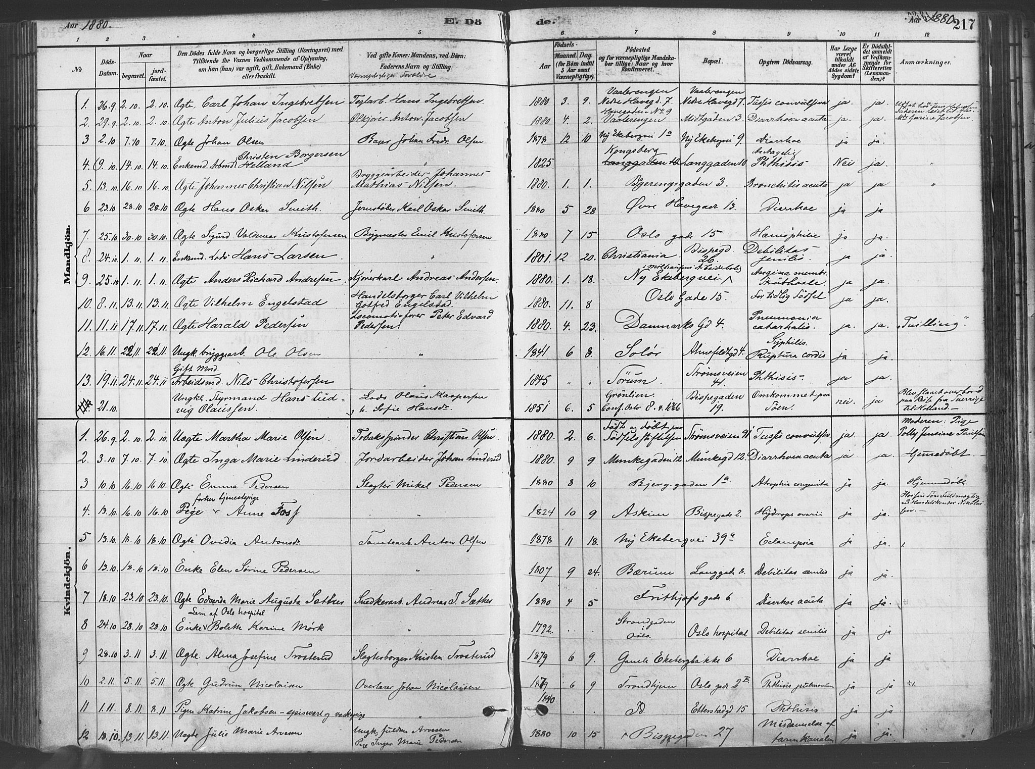 Gamlebyen prestekontor Kirkebøker, SAO/A-10884/F/Fa/L0006: Parish register (official) no. 6, 1881-1890, p. 217