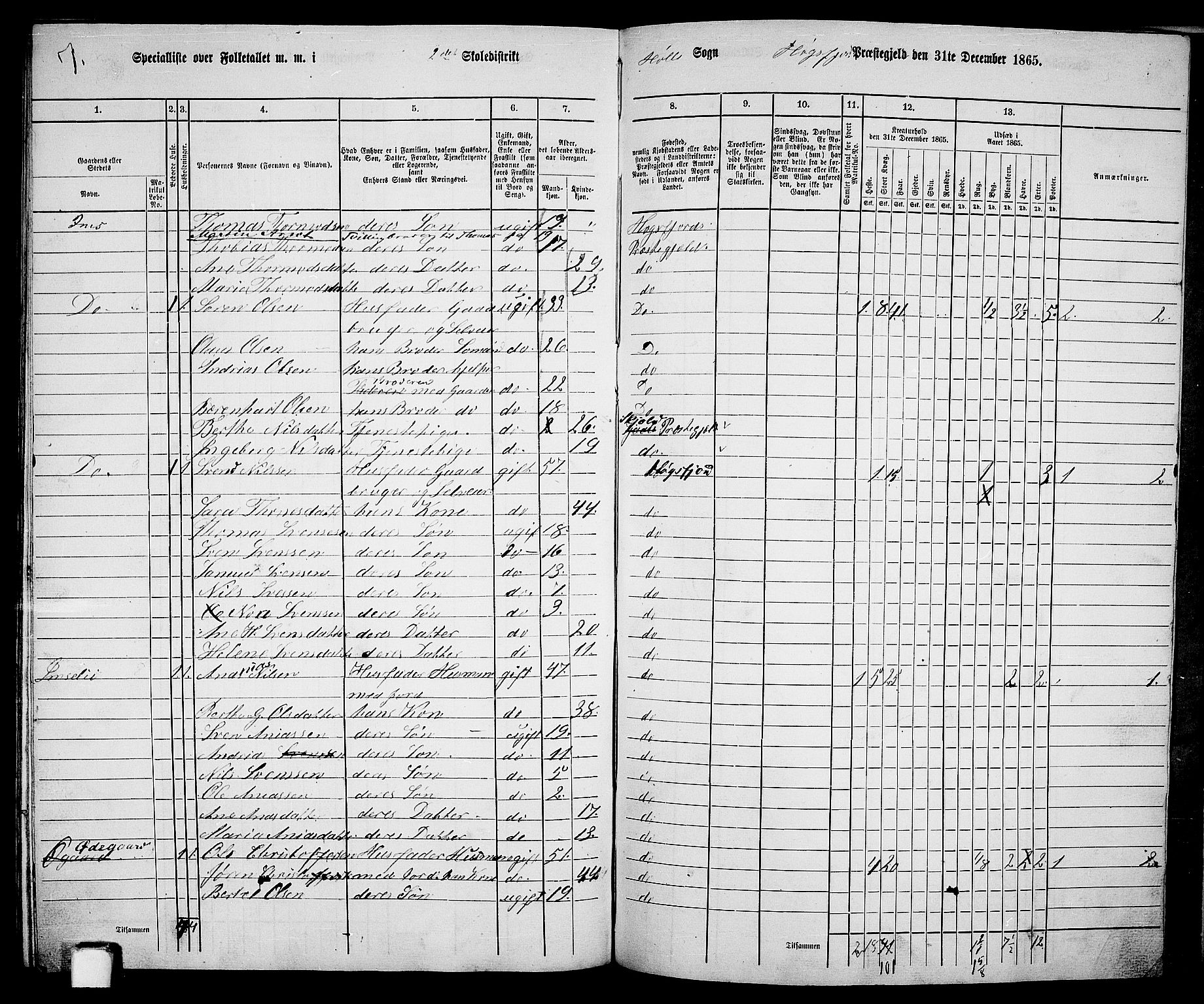 RA, 1865 census for Høgsfjord, 1865, p. 133