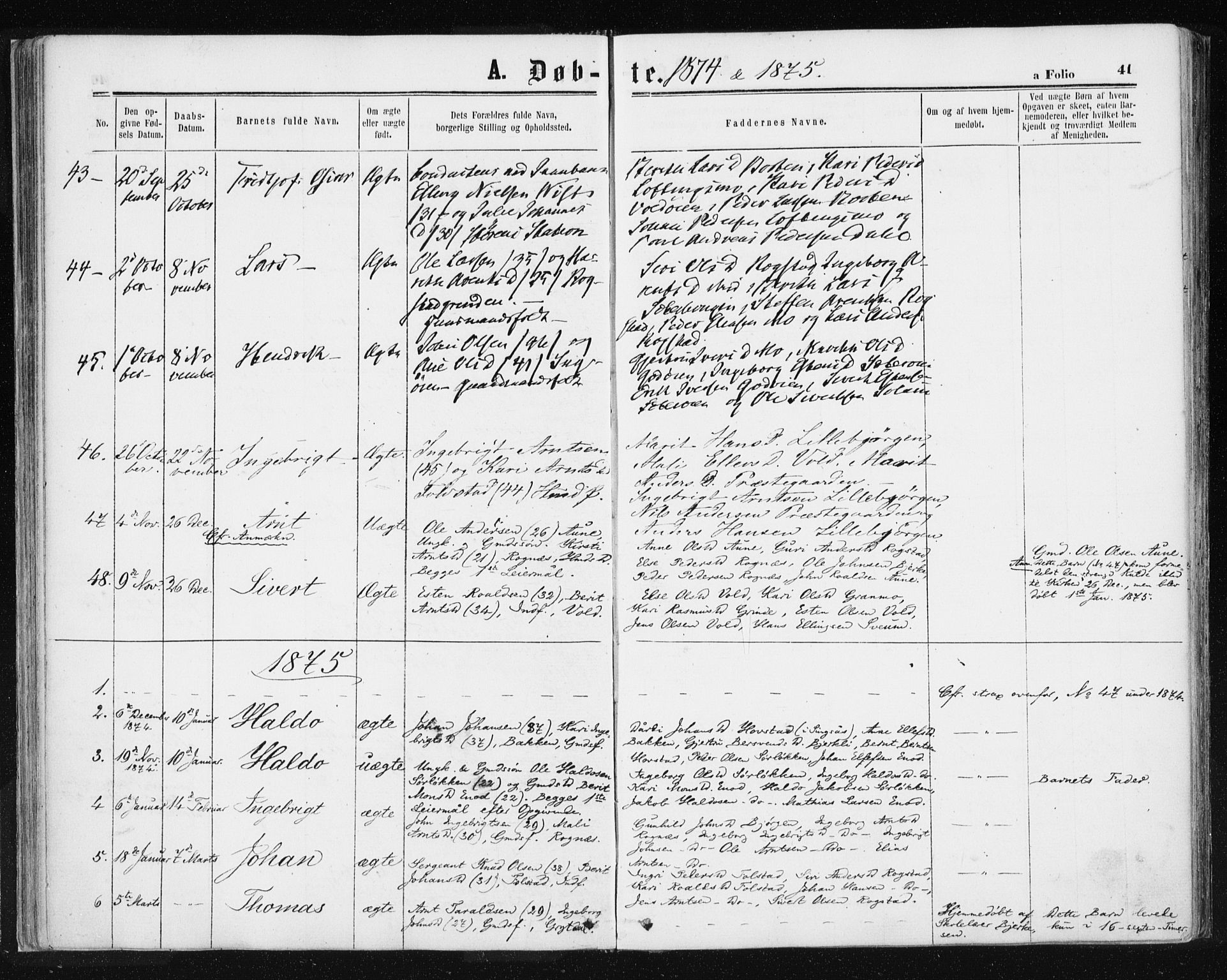 Ministerialprotokoller, klokkerbøker og fødselsregistre - Sør-Trøndelag, SAT/A-1456/687/L1001: Parish register (official) no. 687A07, 1863-1878, p. 41