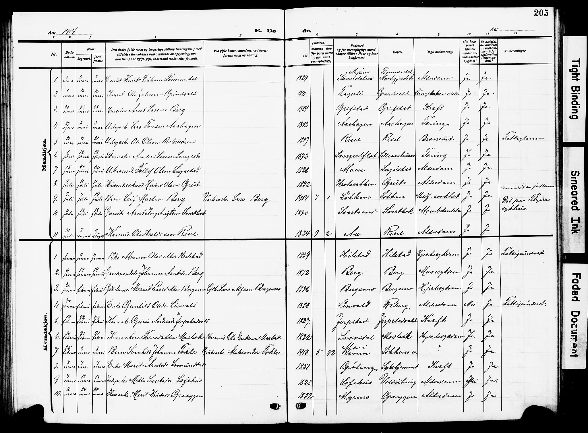 Ministerialprotokoller, klokkerbøker og fødselsregistre - Sør-Trøndelag, AV/SAT-A-1456/672/L0865: Parish register (copy) no. 672C04, 1914-1928, p. 205