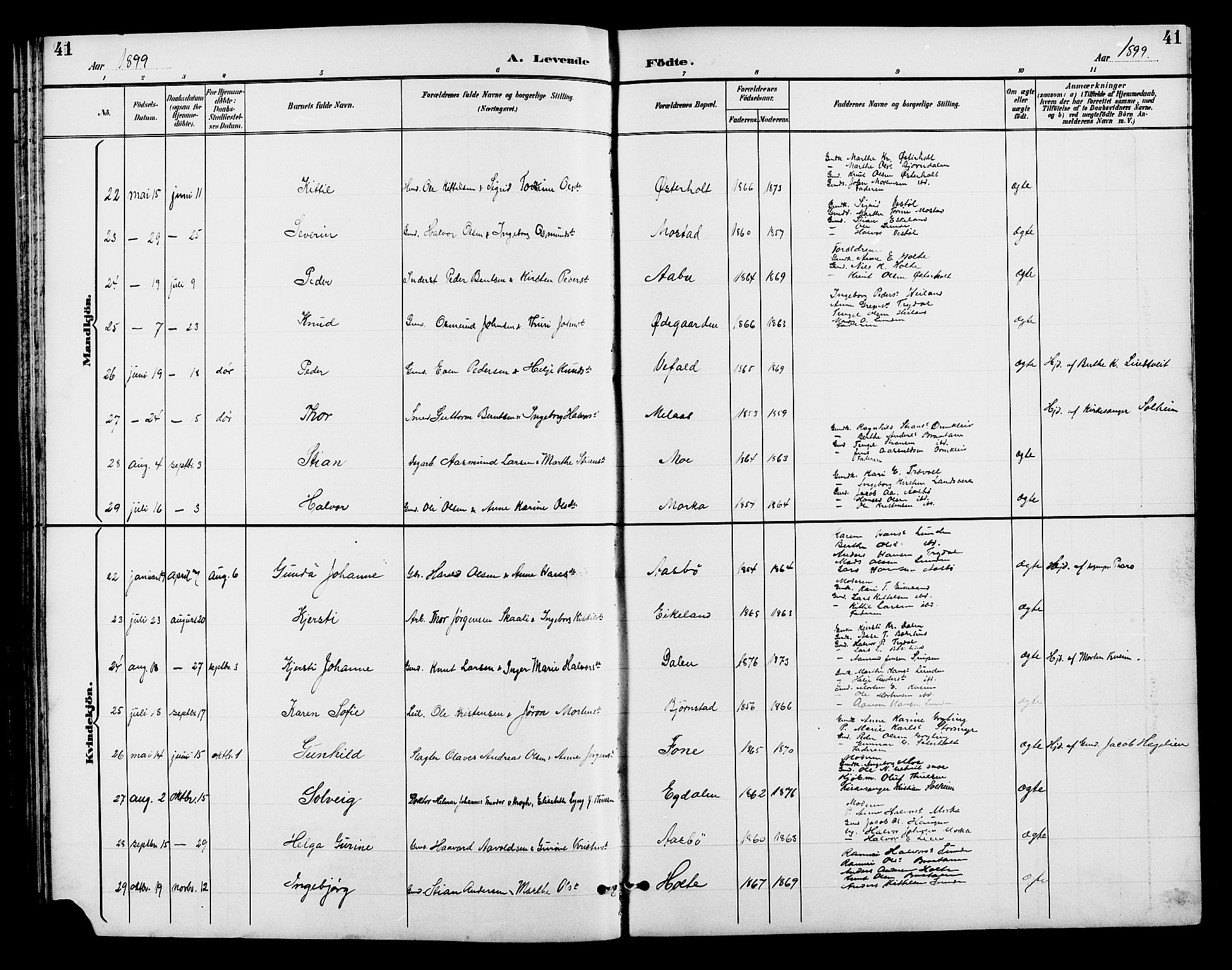 Gjerstad sokneprestkontor, AV/SAK-1111-0014/F/Fb/Fba/L0007: Parish register (copy) no. B 7, 1891-1908, p. 41