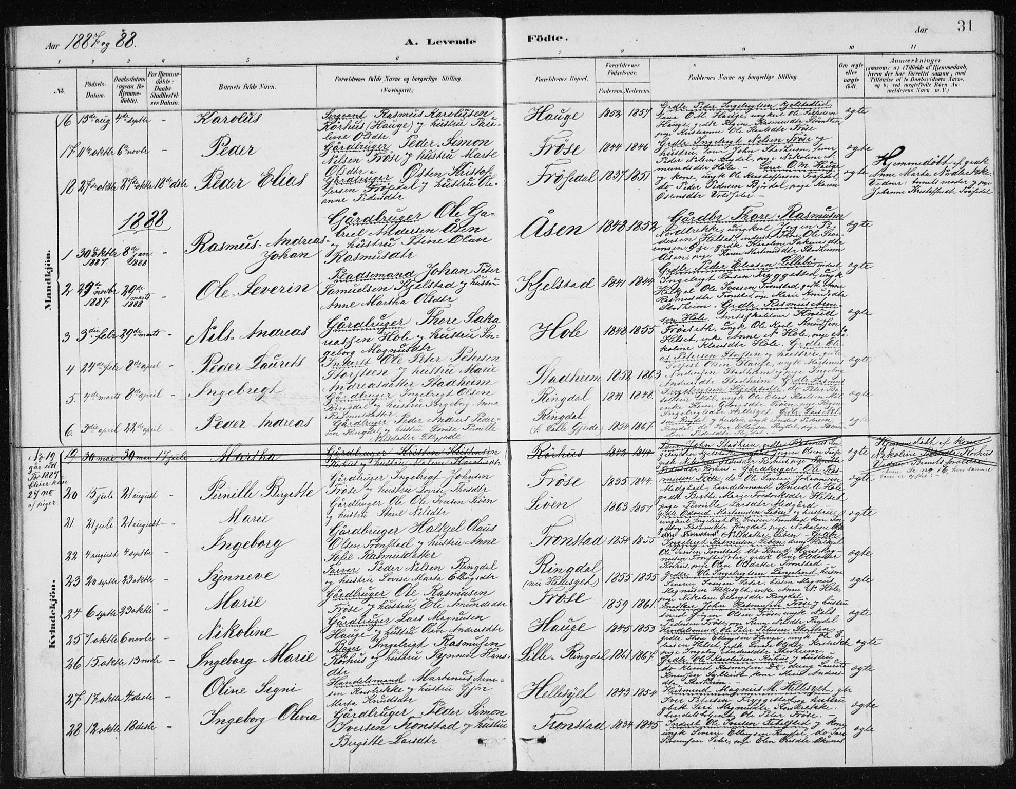 Ministerialprotokoller, klokkerbøker og fødselsregistre - Møre og Romsdal, SAT/A-1454/517/L0230: Parish register (copy) no. 517C03, 1879-1912, p. 31