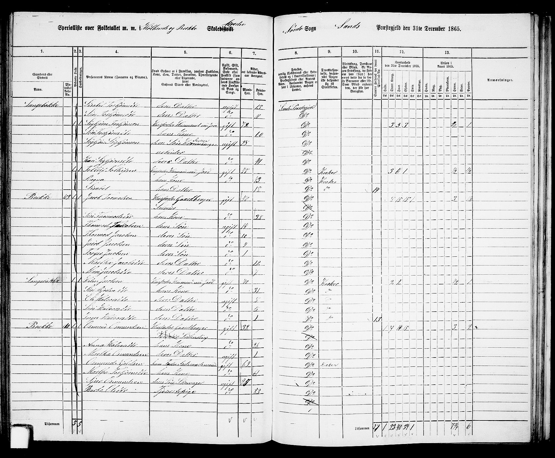 RA, 1865 census for Sand, 1865, p. 123
