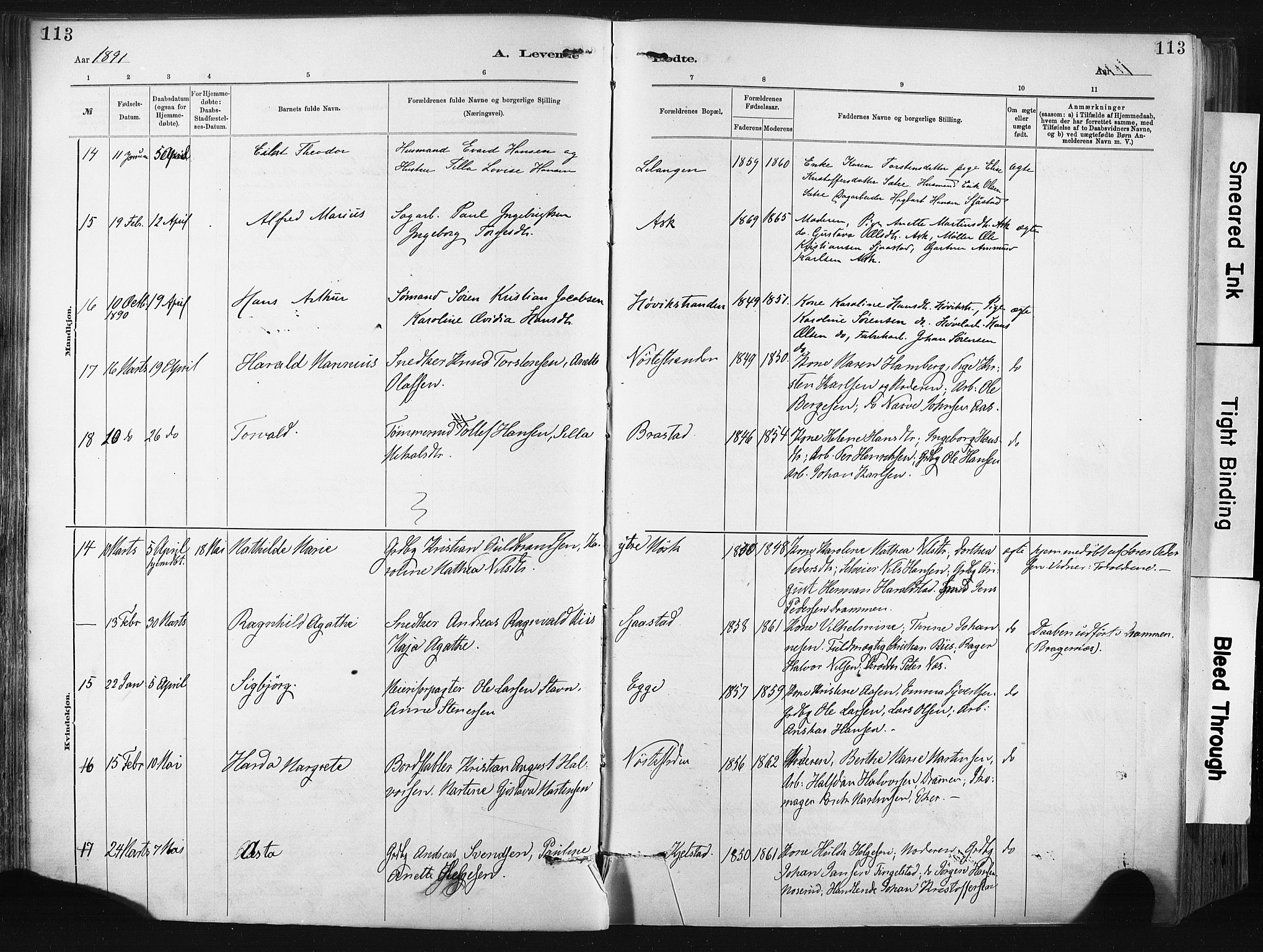 Lier kirkebøker, AV/SAKO-A-230/F/Fa/L0015: Parish register (official) no. I 15, 1883-1894, p. 113