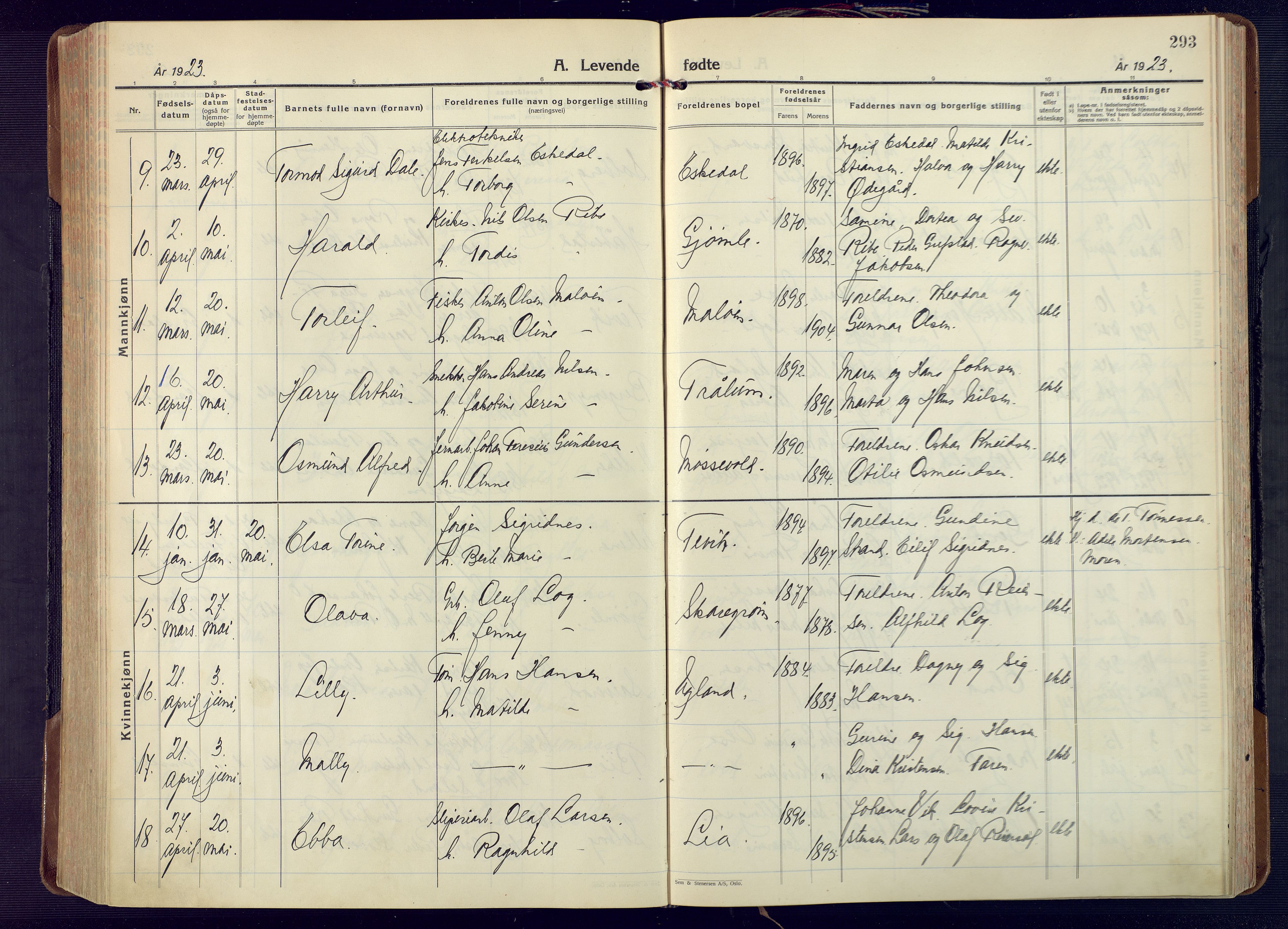 Fjære sokneprestkontor, AV/SAK-1111-0011/F/Fa/L0004: Parish register (official) no. A 4, 1902-1925, p. 293