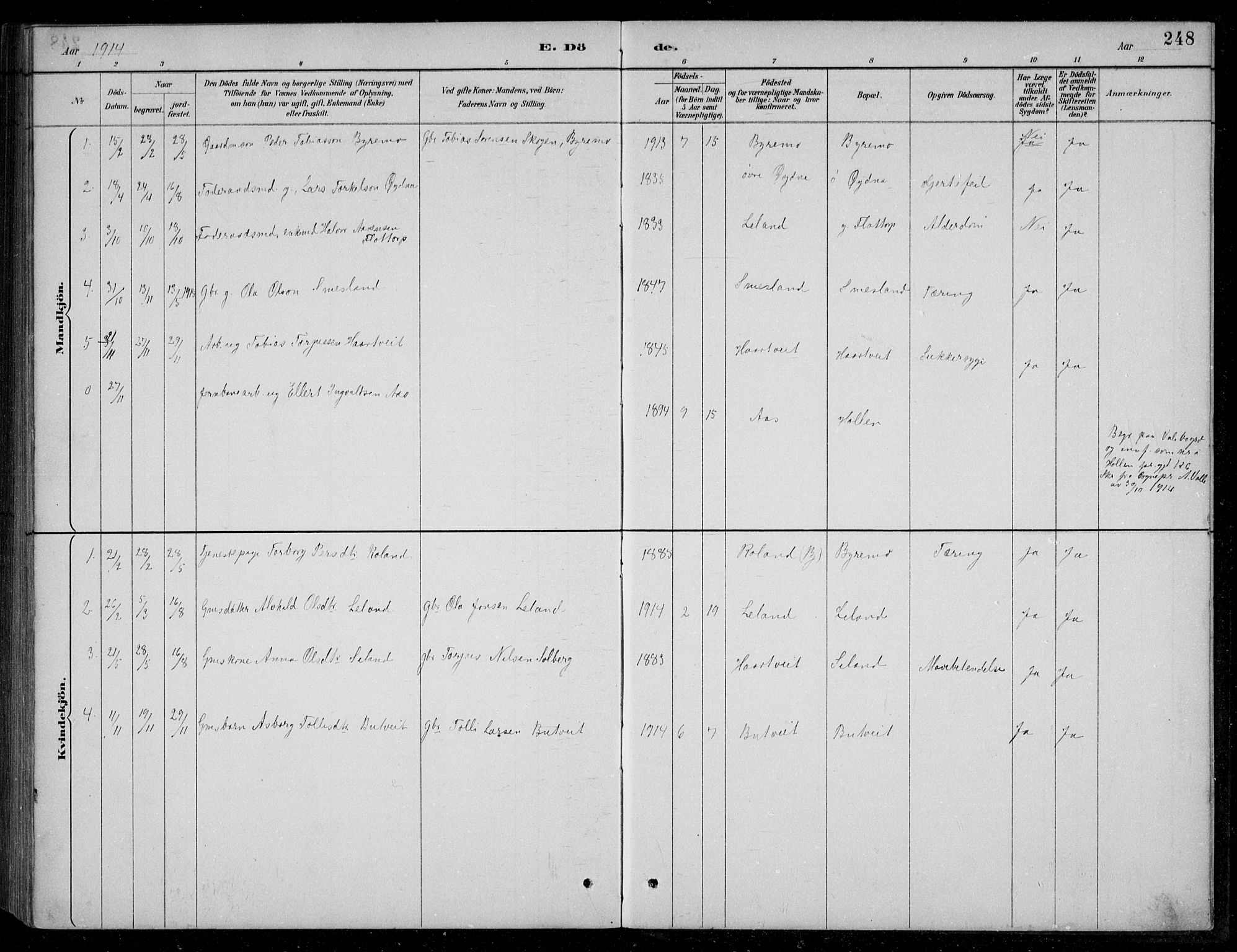 Bjelland sokneprestkontor, SAK/1111-0005/F/Fb/Fbc/L0003: Parish register (copy) no. B 3, 1887-1924, p. 248