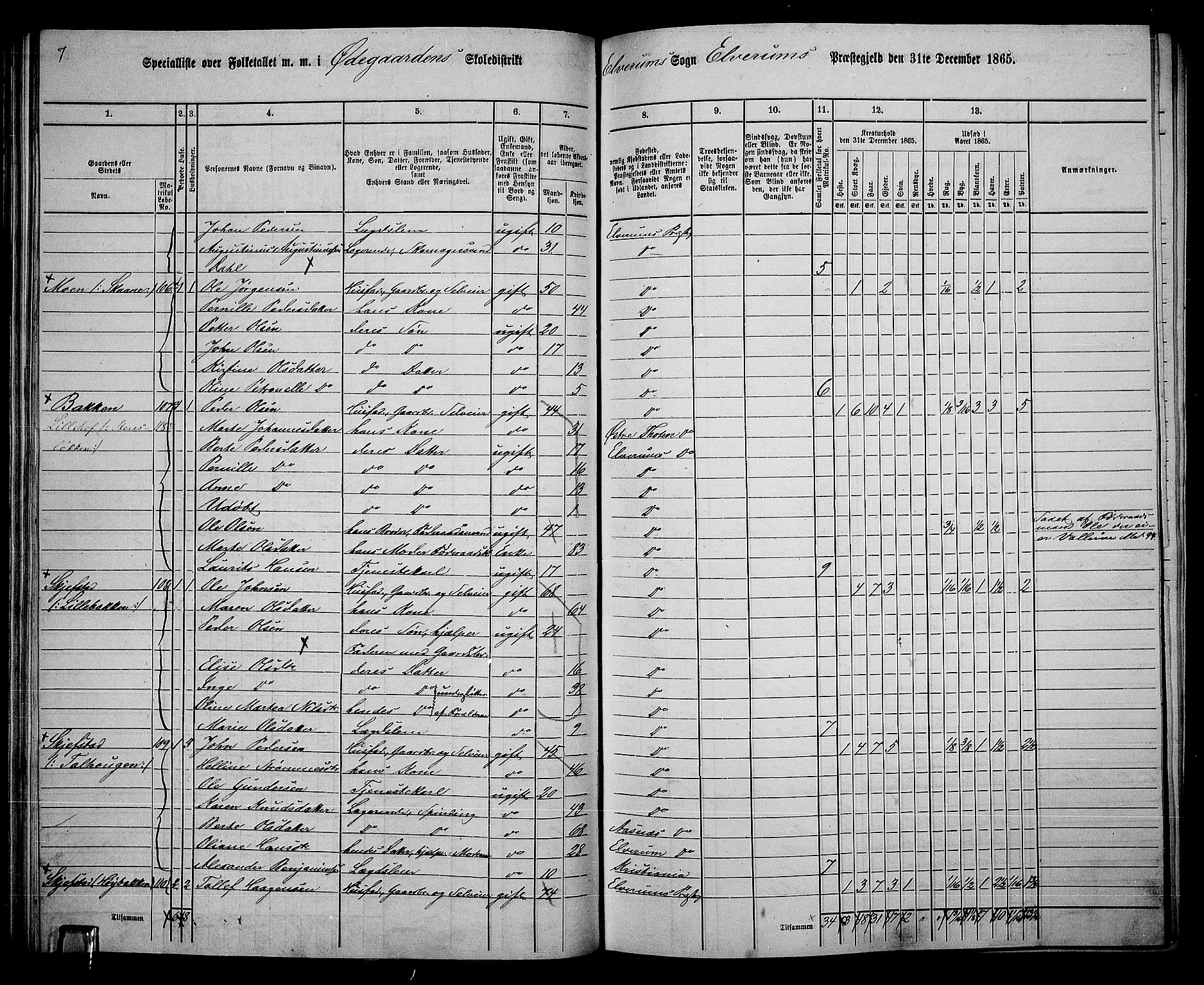 RA, 1865 census for Elverum, 1865, p. 62