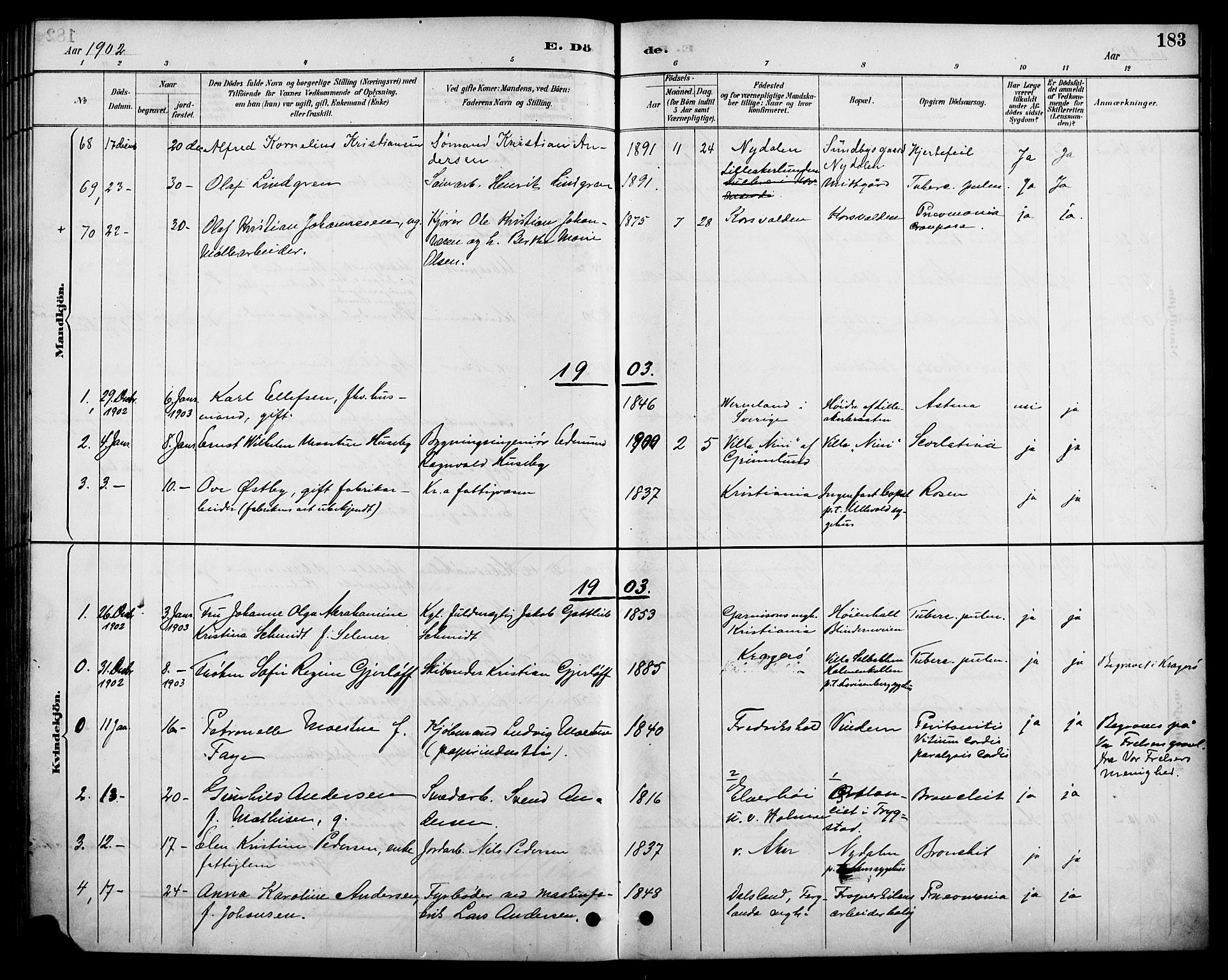 Vestre Aker prestekontor Kirkebøker, AV/SAO-A-10025/F/Fa/L0011: Parish register (official) no. 11, 1886-1904, p. 183