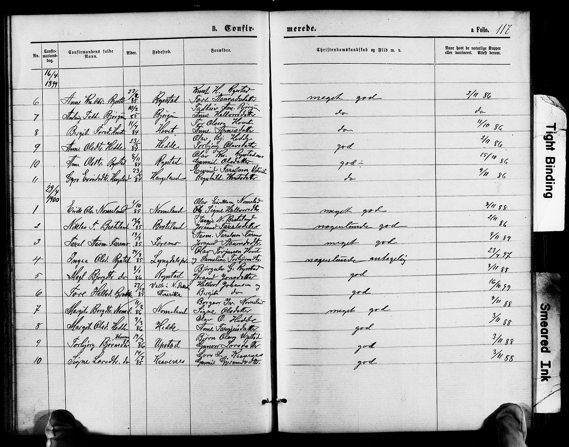 Valle sokneprestkontor, AV/SAK-1111-0044/F/Fb/Fbb/L0002: Parish register (copy) no. B 2, 1875-1921, p. 117