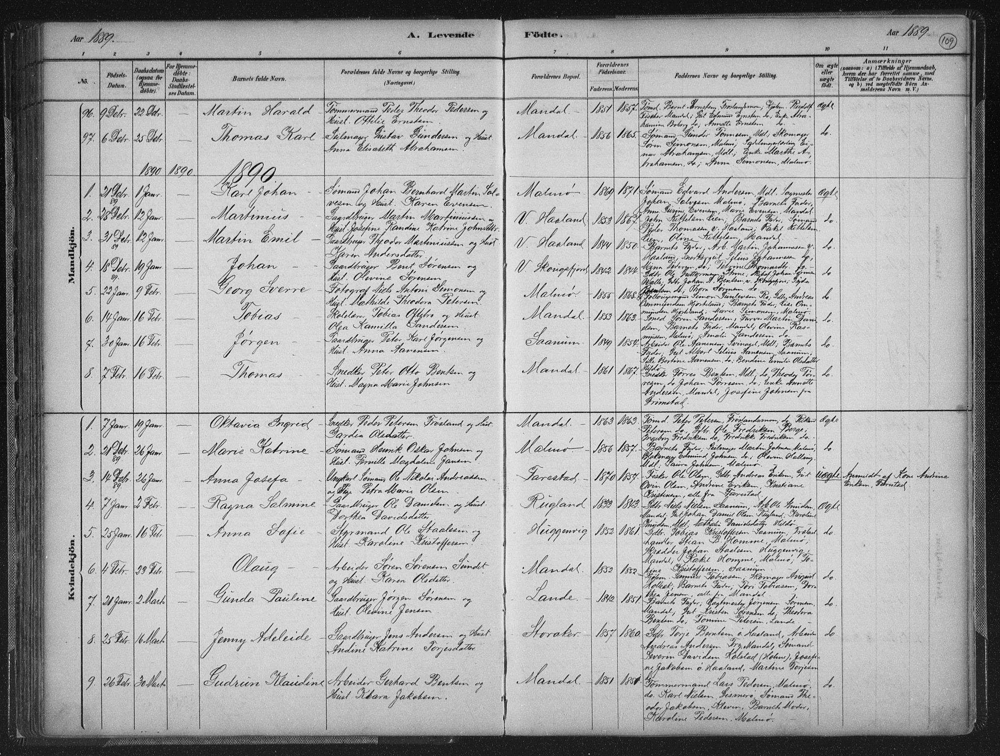 Mandal sokneprestkontor, SAK/1111-0030/F/Fb/Fba/L0011: Parish register (copy) no. B 5, 1880-1898, p. 109