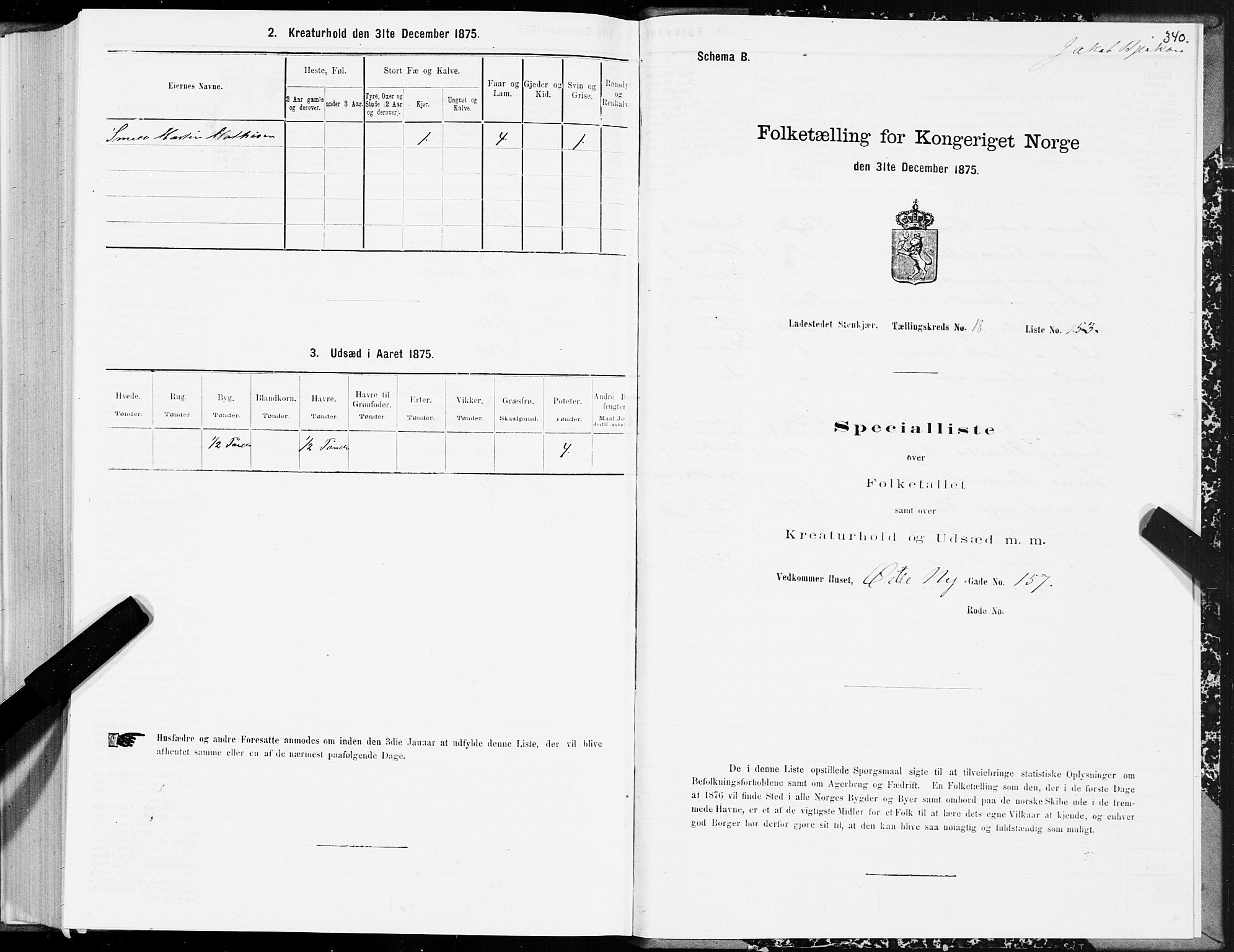 SAT, 1875 census for 1702B Steinkjer/Steinkjer, 1875, p. 340