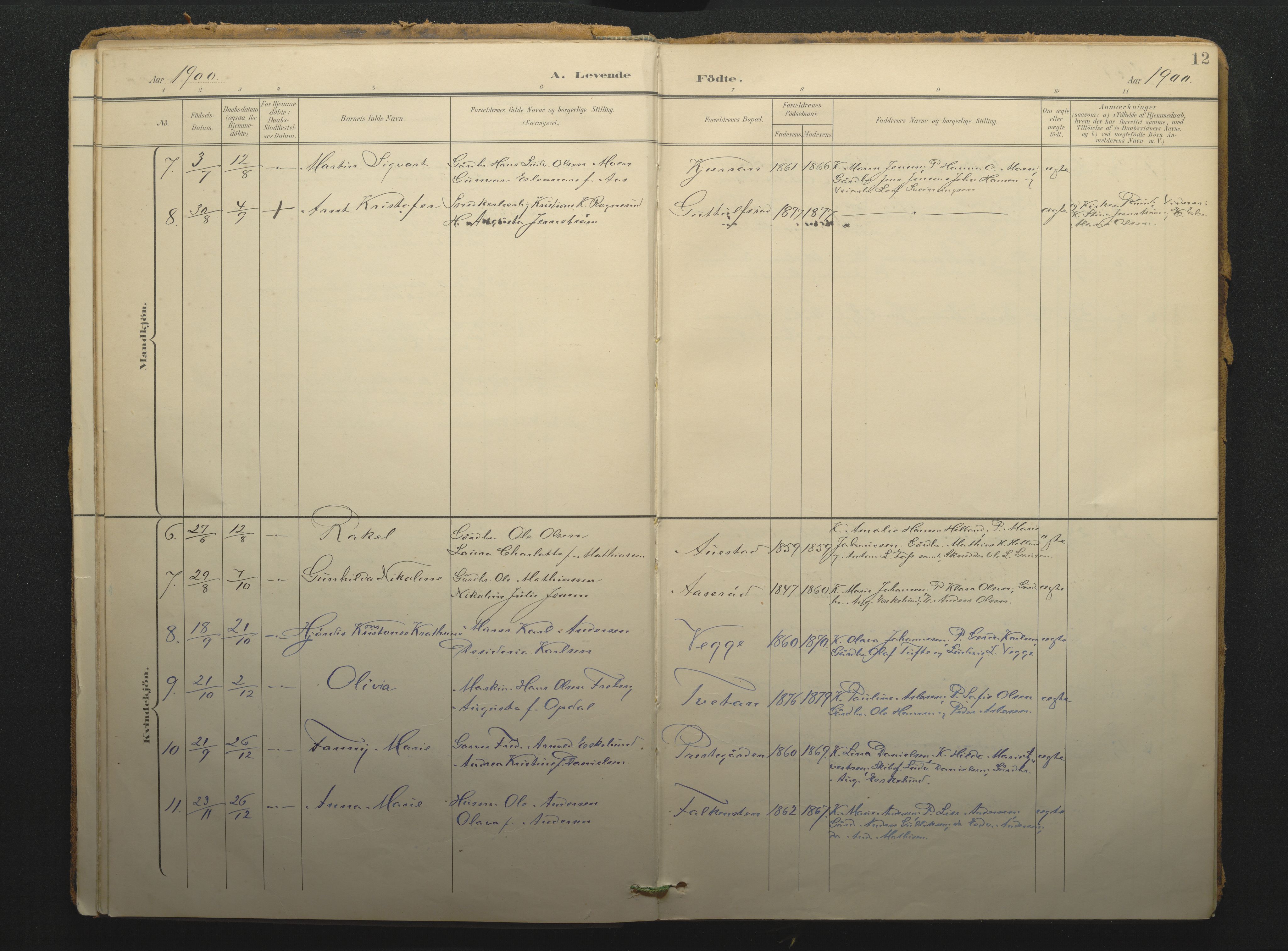 Borre kirkebøker, SAKO/A-338/F/Fc/L0003: Parish register (official) no. III 3, 1896-1919, p. 12