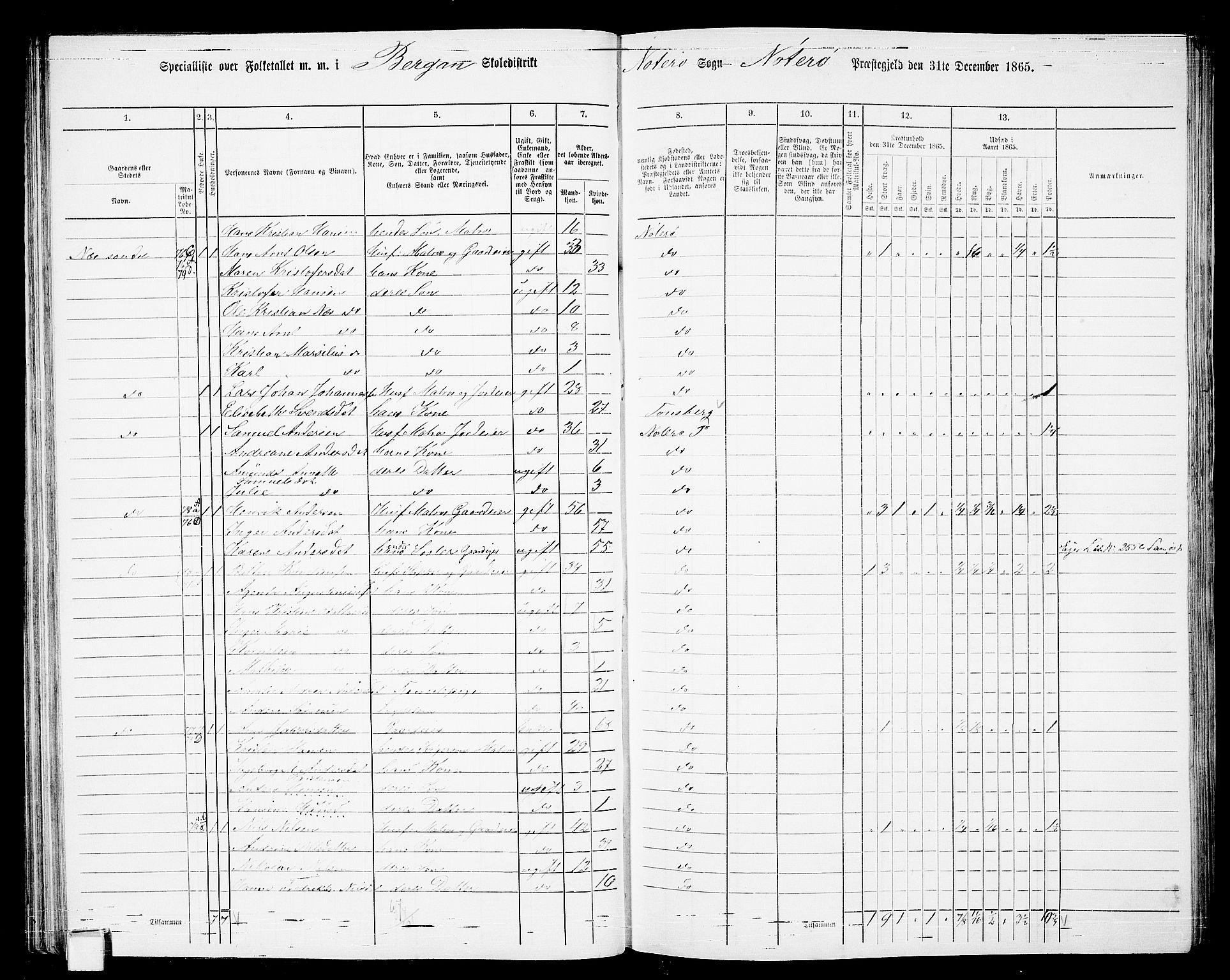 RA, 1865 census for Nøtterøy, 1865, p. 72