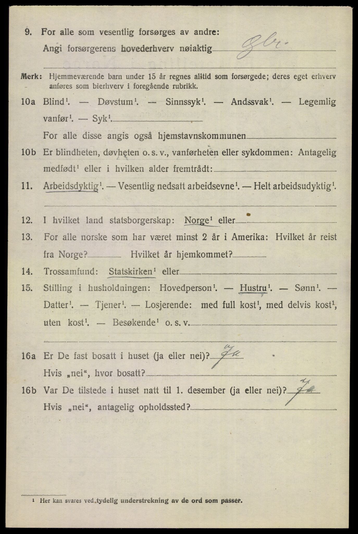 SAKO, 1920 census for Nes (Buskerud), 1920, p. 1629