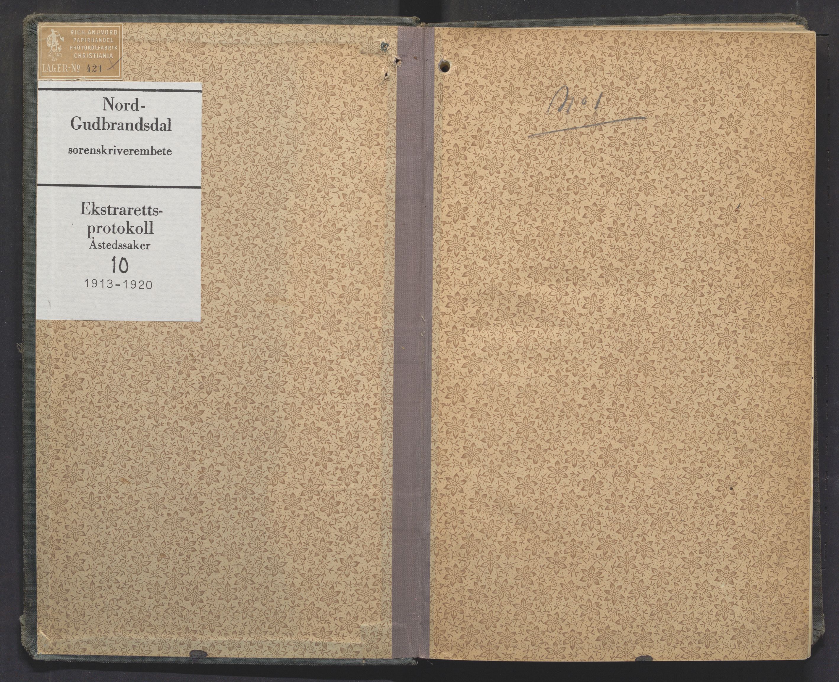 Nord-Gudbrandsdal tingrett, SAH/TING-002/G/Gc/Gcb/L0010: Ekstrarettsprotokoll for åstedssaker, 1913-1920
